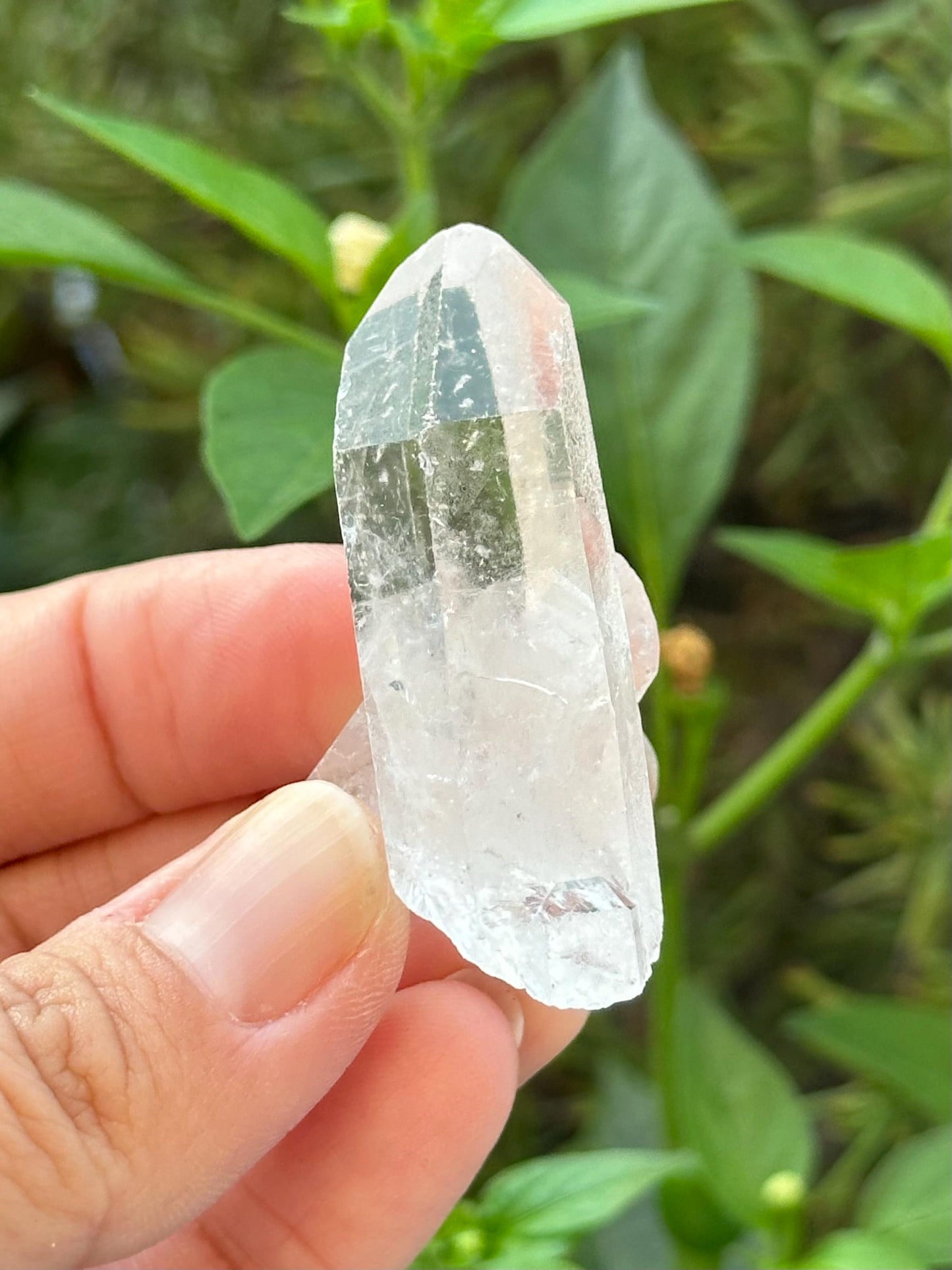Small Clear Quartz Cluster
