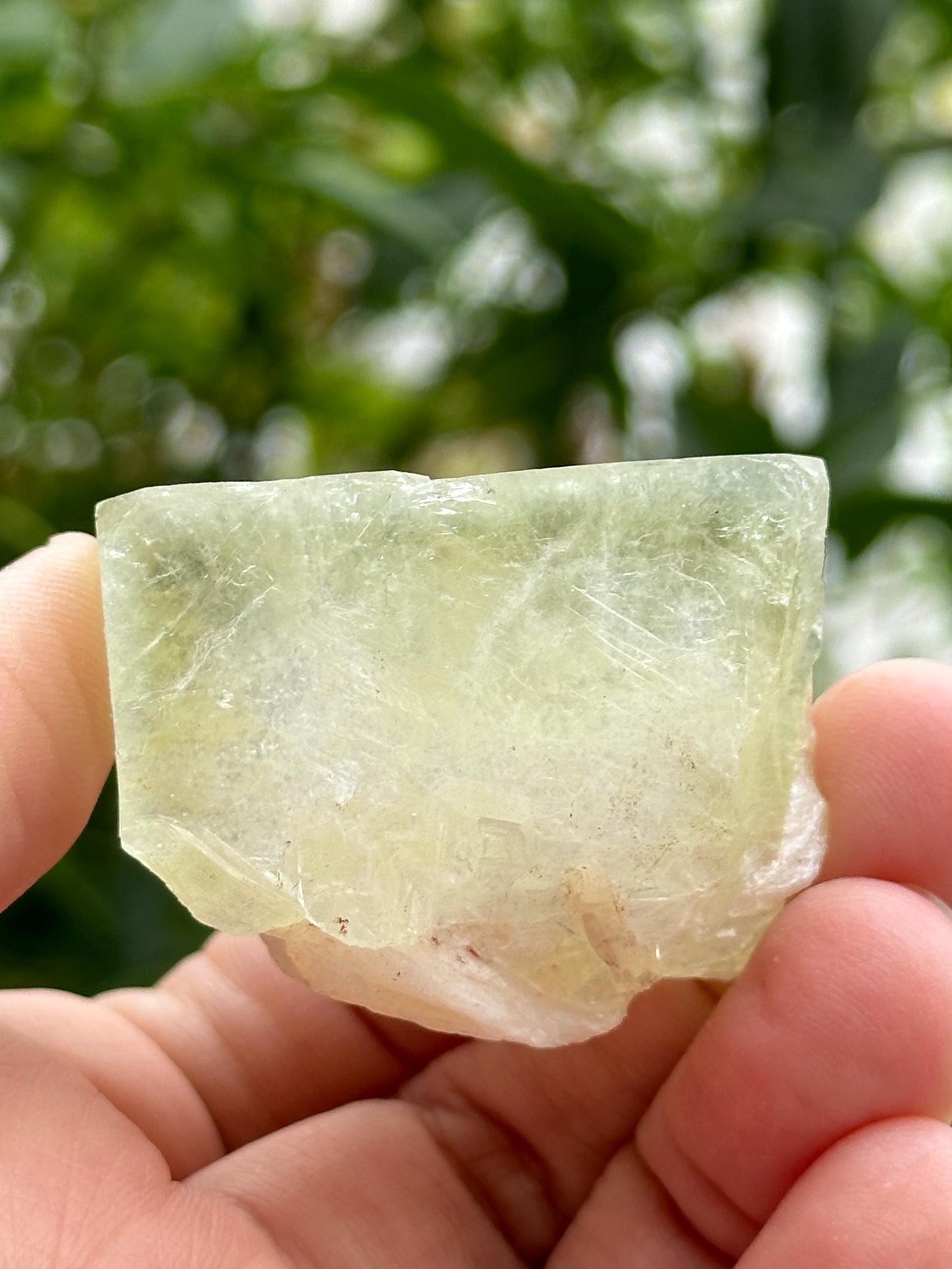 Green Apophyllite from India