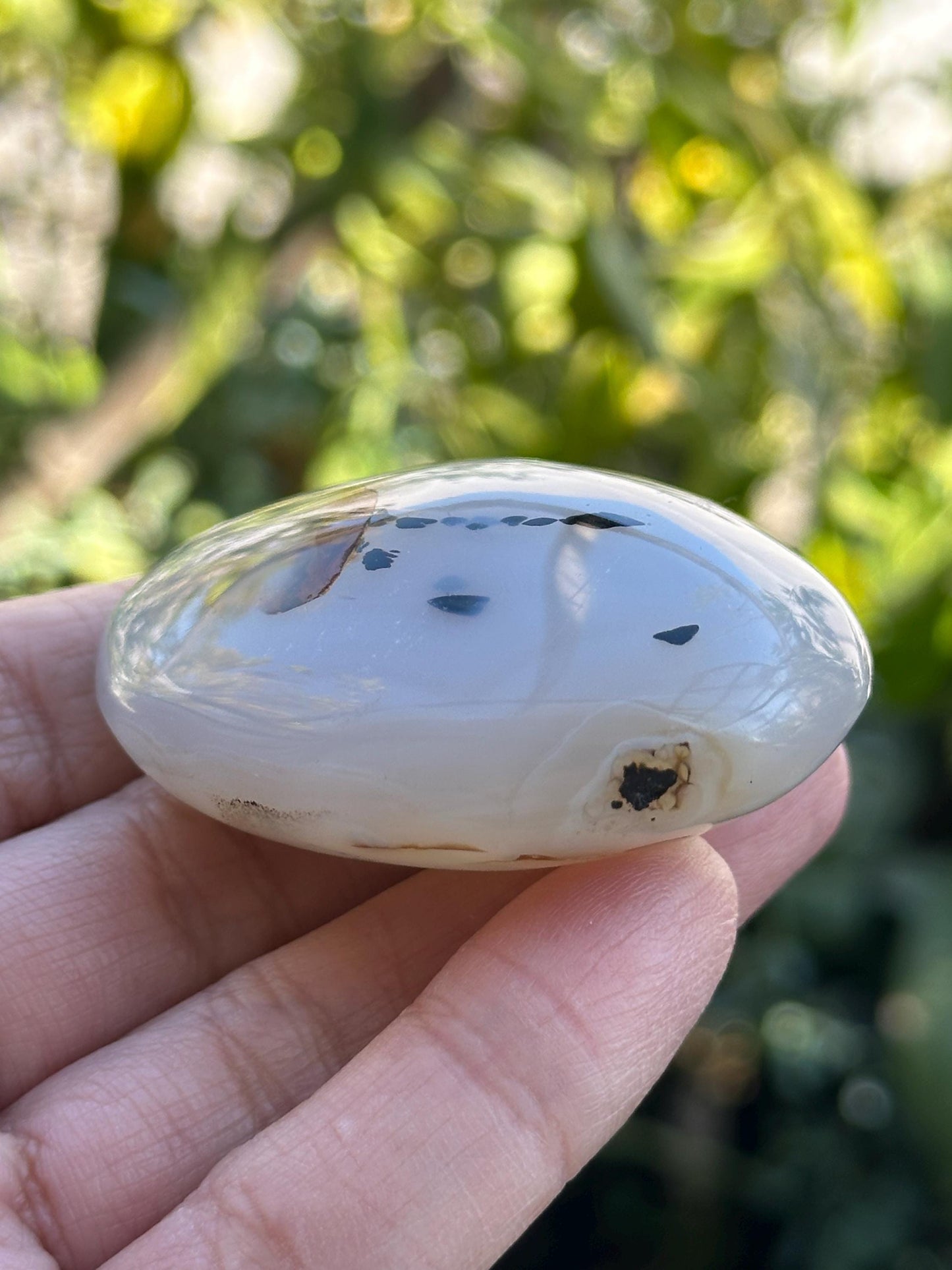 Small Dendritic Agate Palm Stone from Madagascar