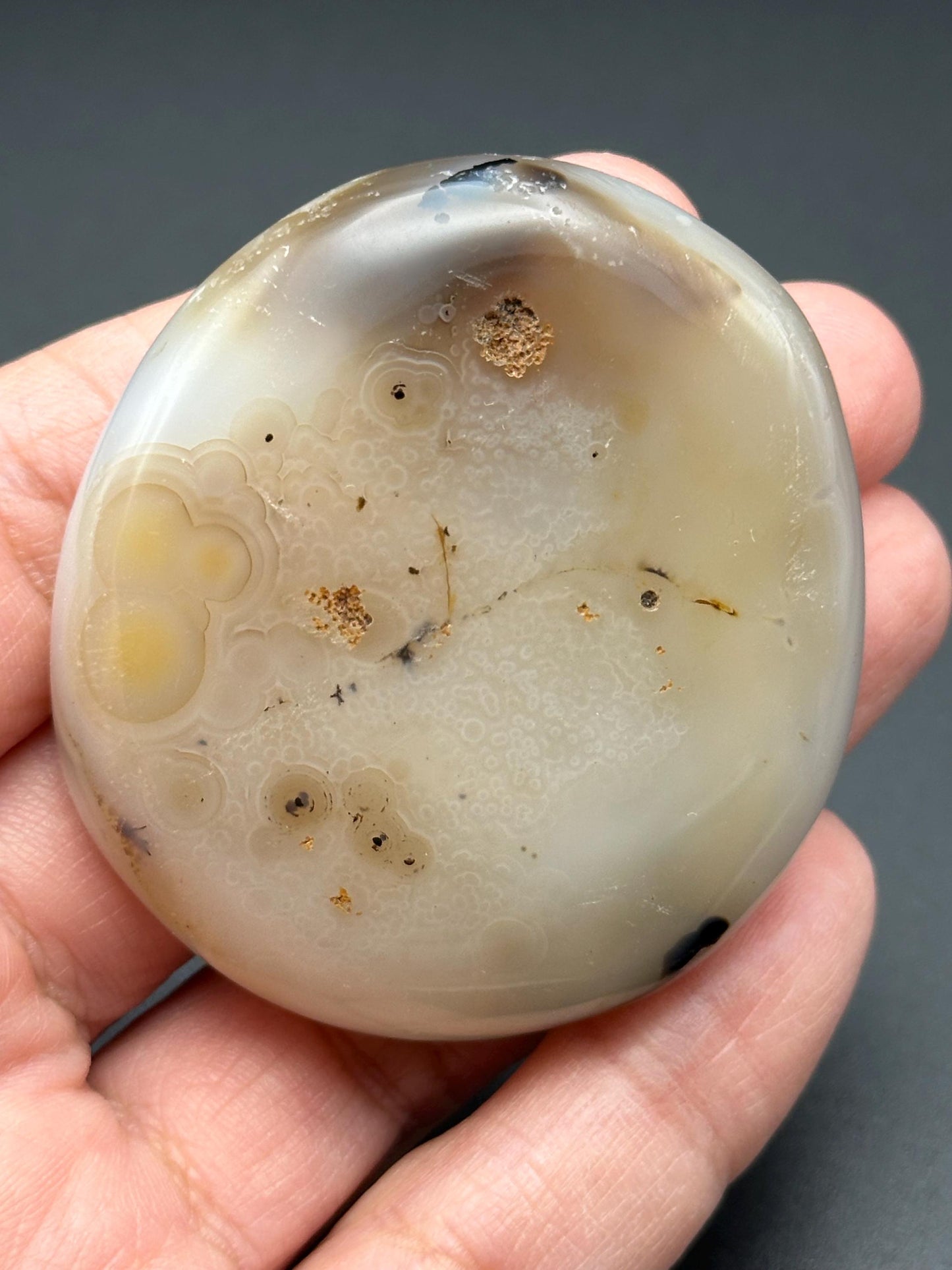 Dendritic Agate Palm Stone