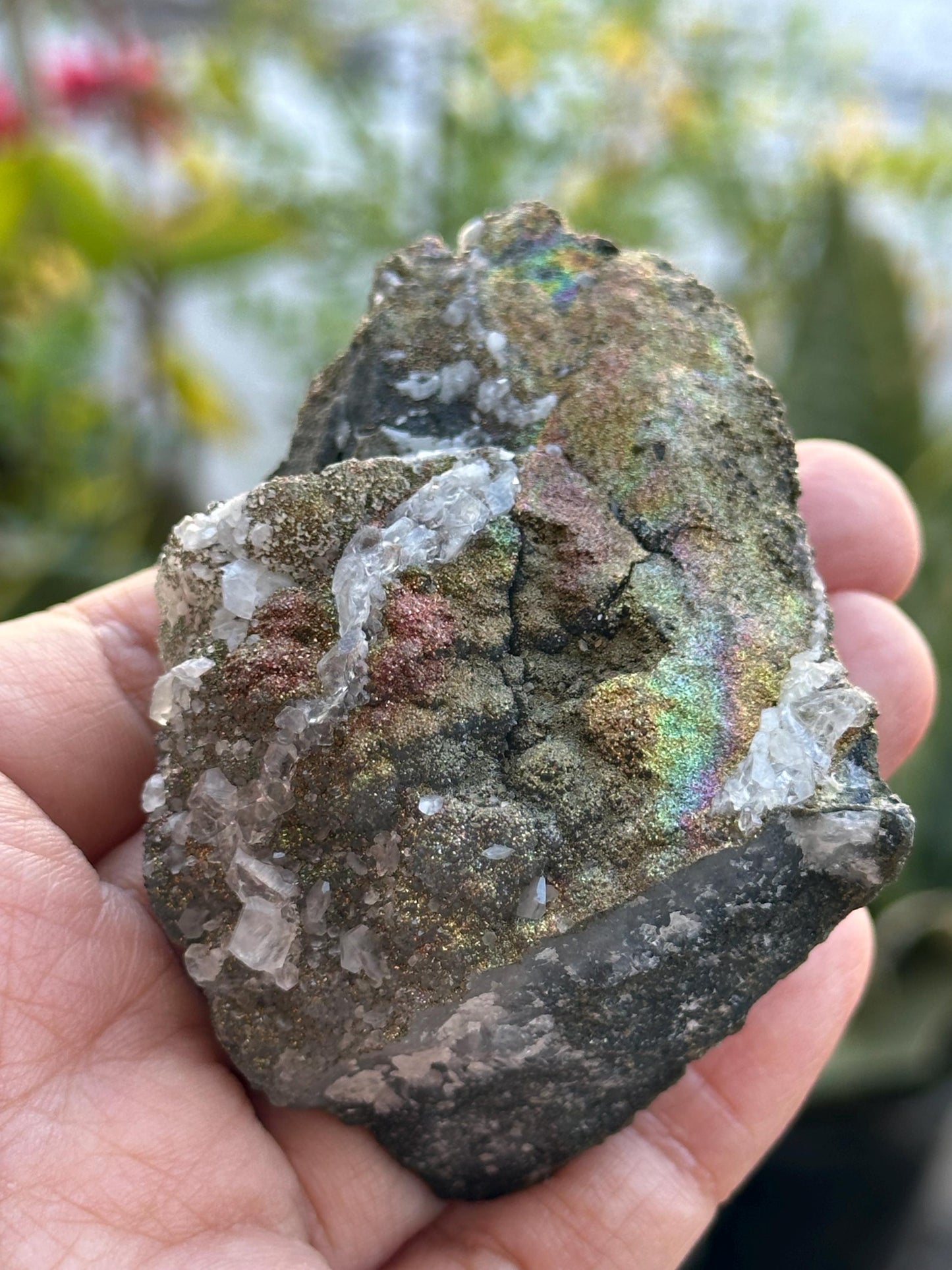 Pyrolusite Marcasite in Quartz
