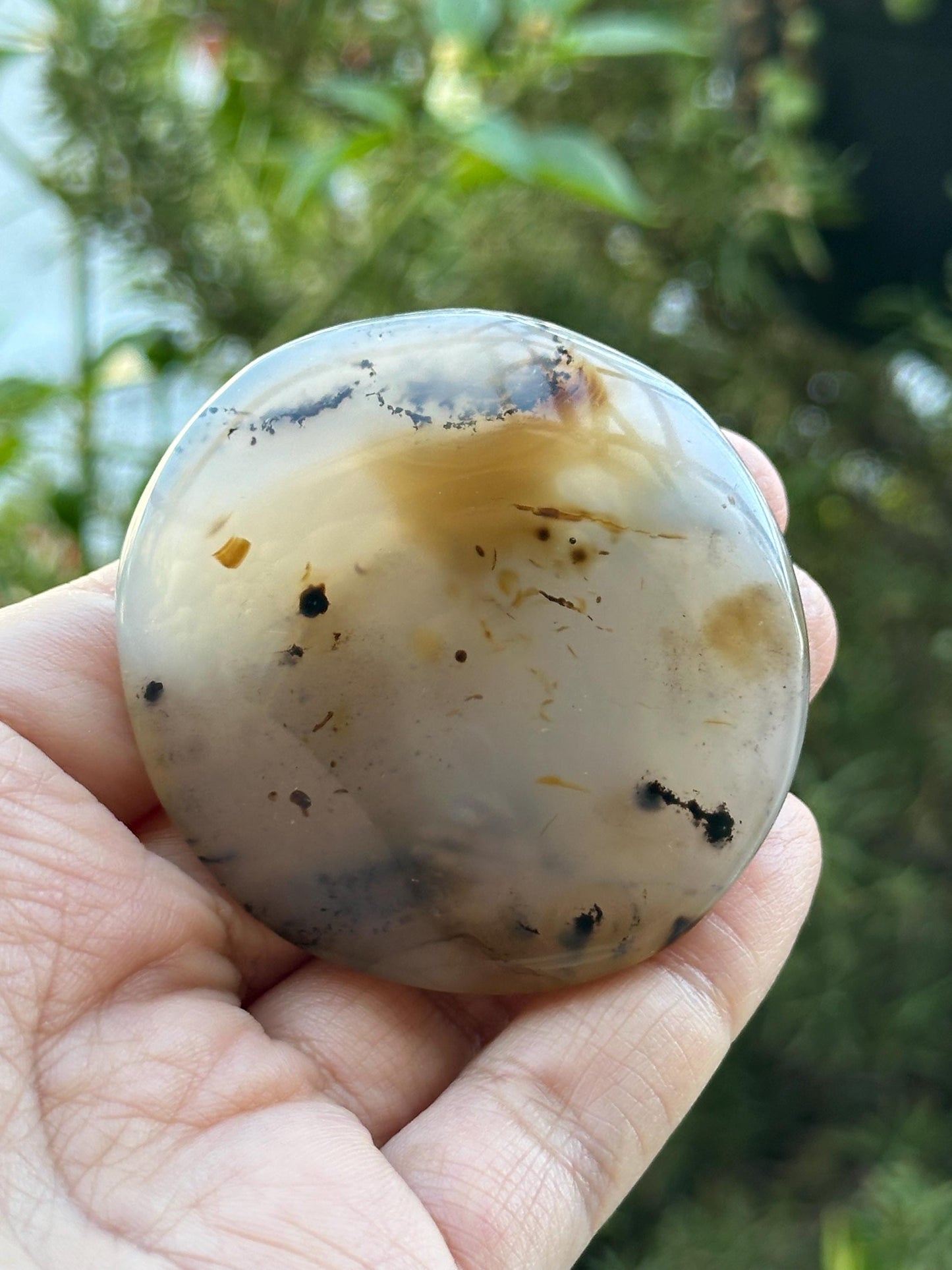 Dendritic Agate Palm Stone