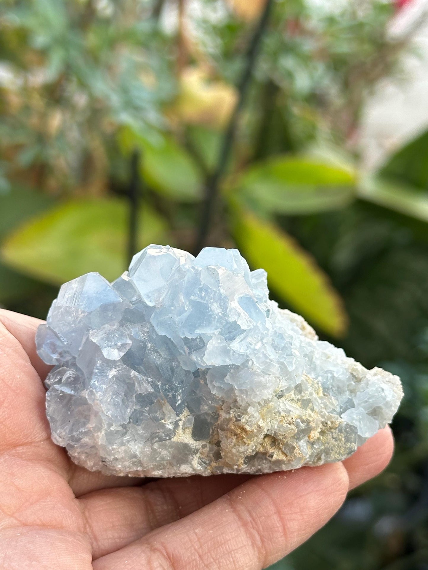 Celestite Cluster