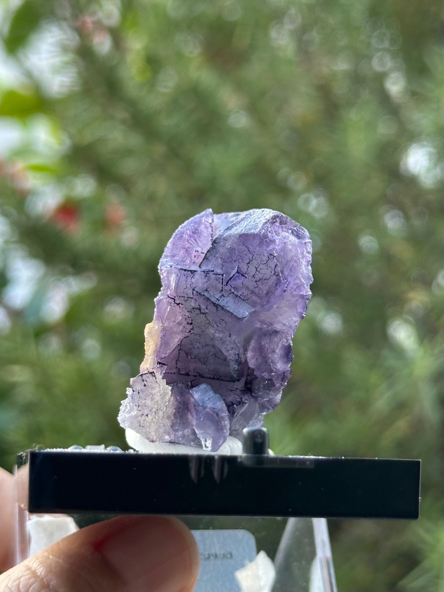 QR Code Fluorite from the Quinlong Mine