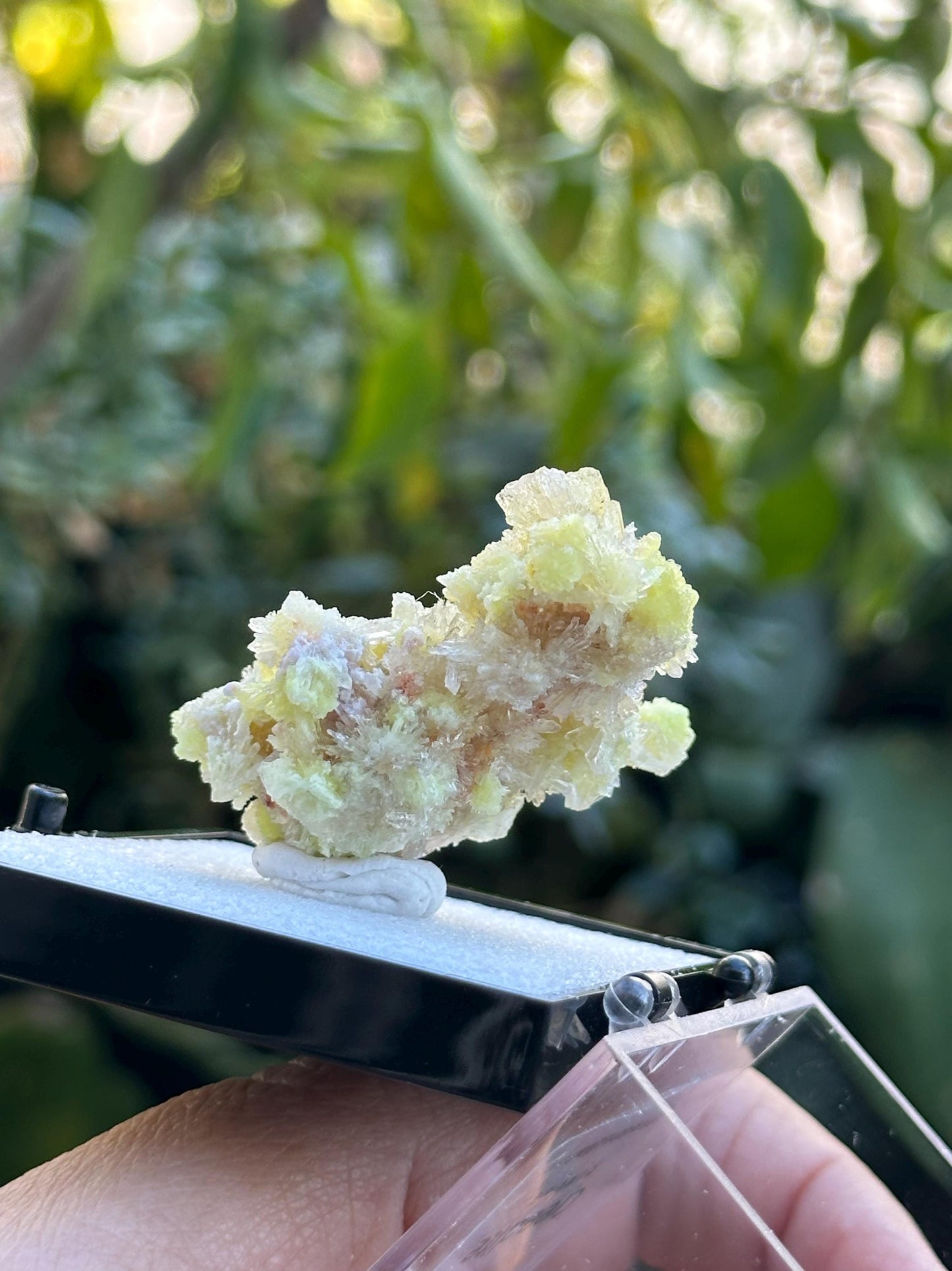 Creedite with Selenite in a perky box from Guizhou, Dachang, China