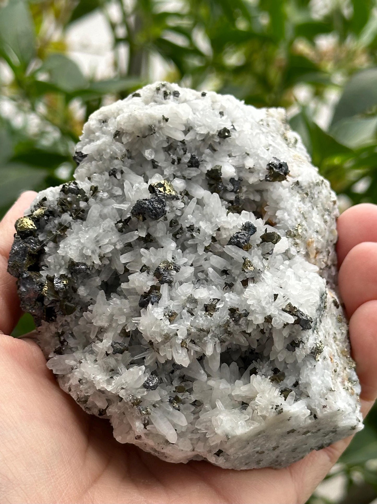 Chalcopyrite with Quartz