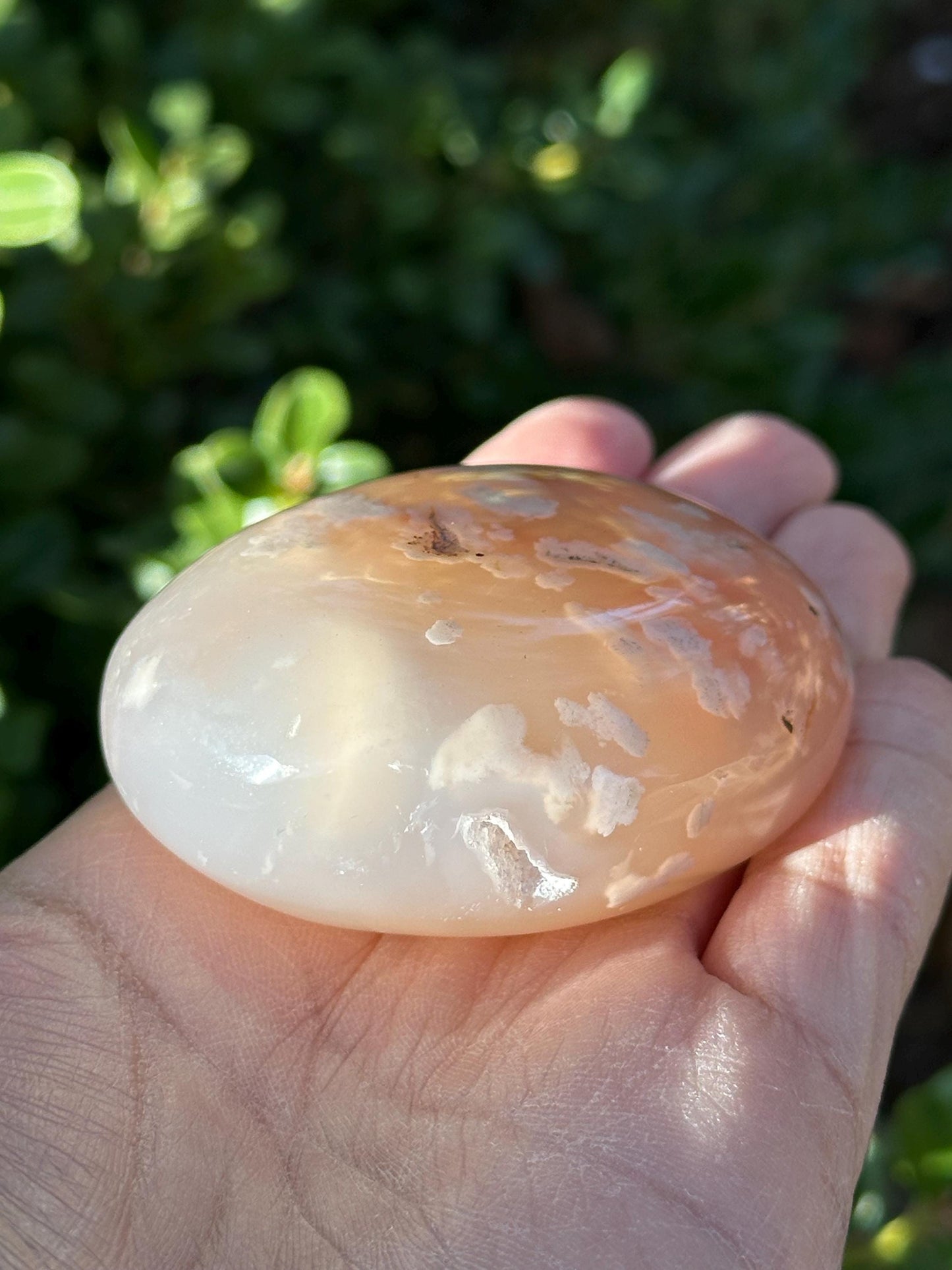 Flower Agate Palm Stone
