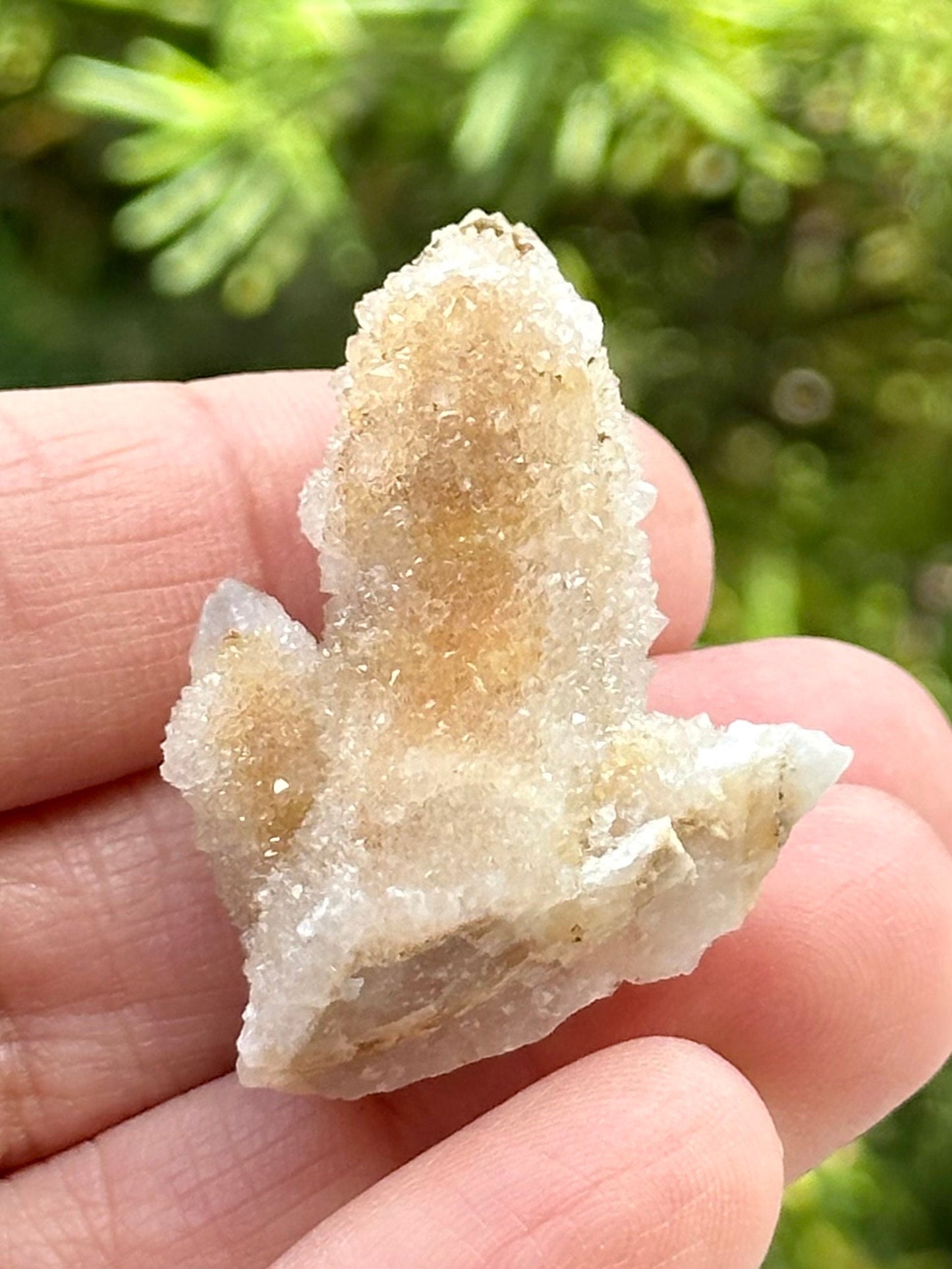 Fairy Quartz