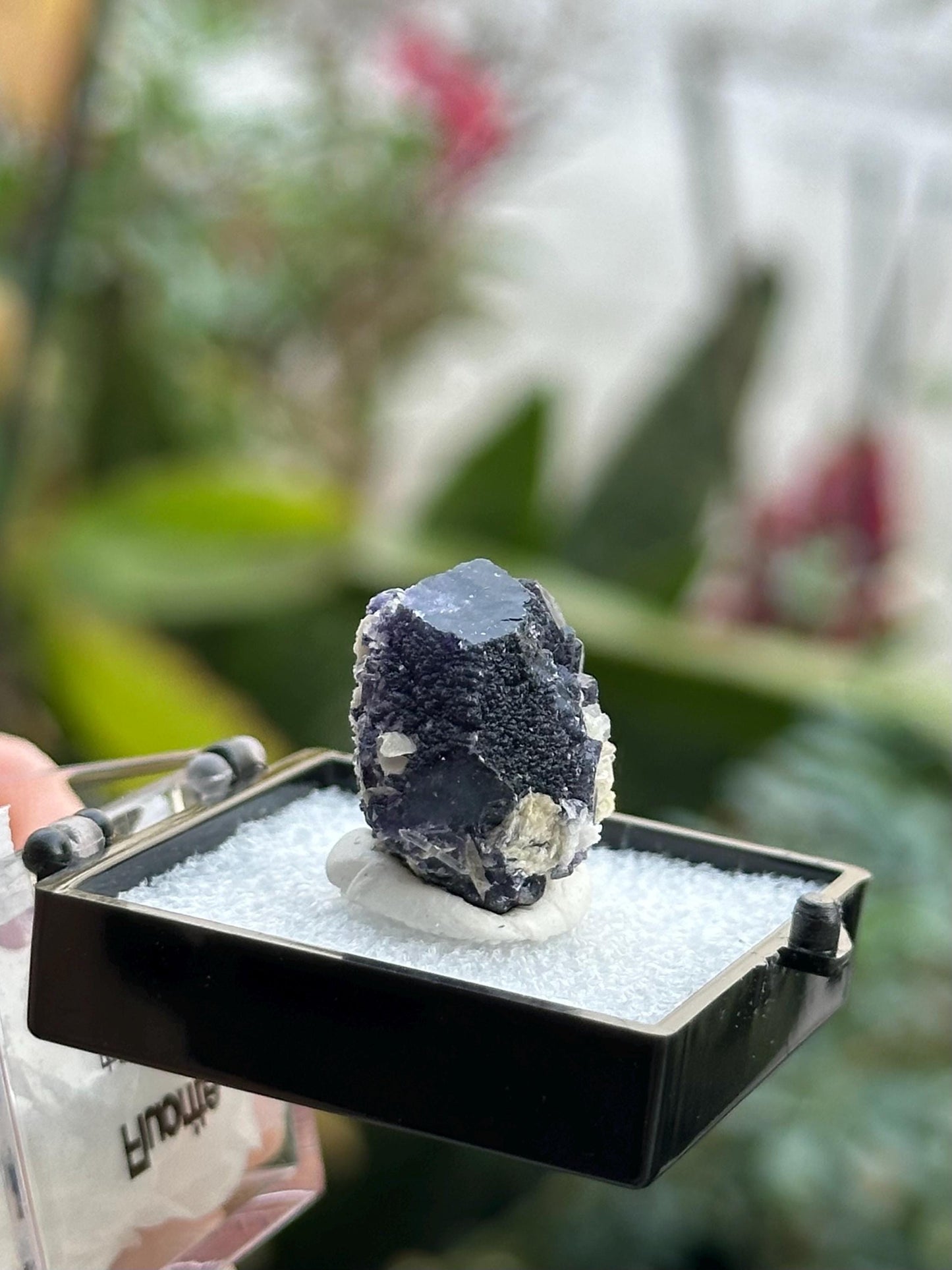 Yindu Fluorite from the Yindu Mine, Inner Mongolia, China