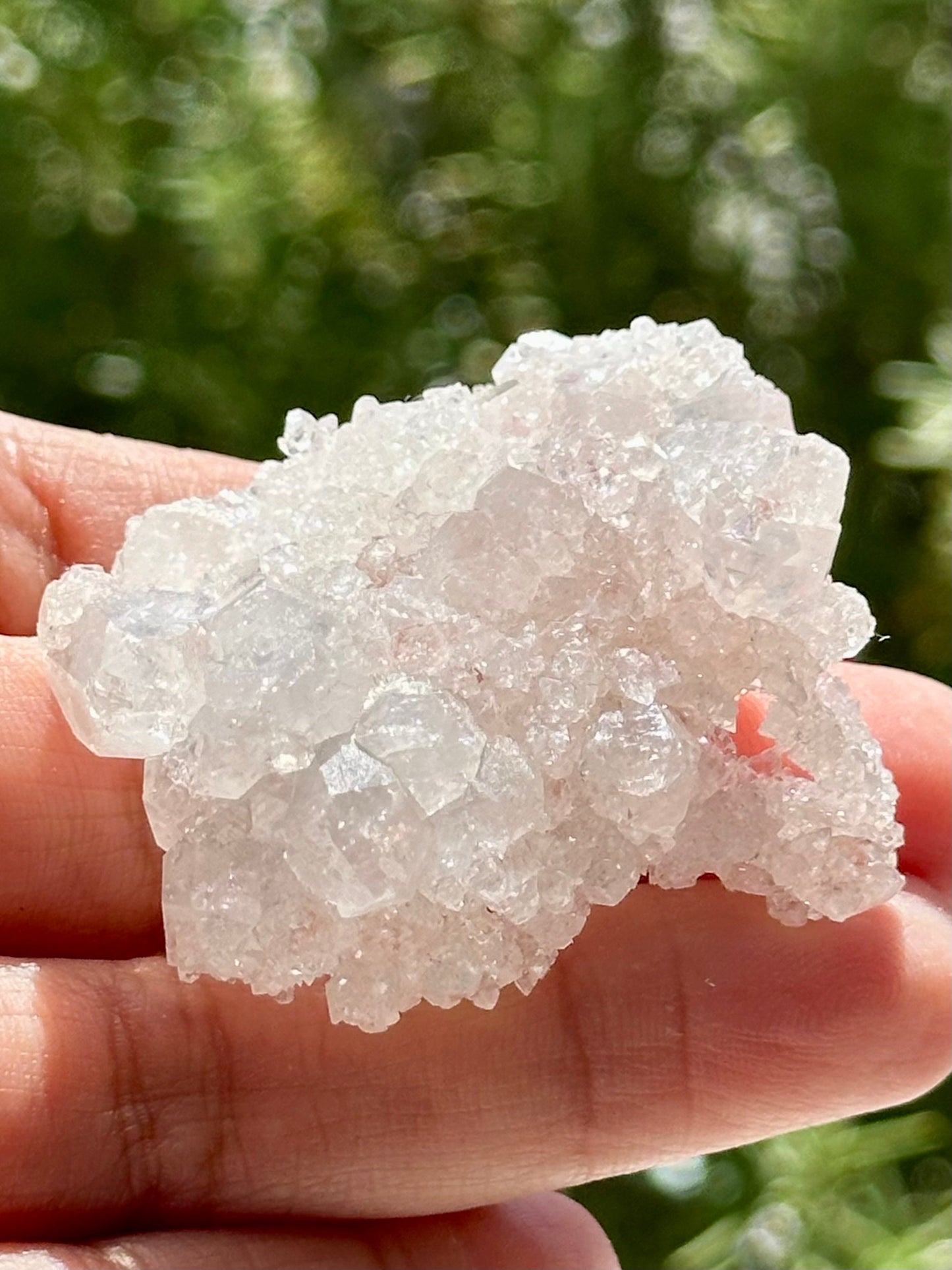 Double Sided Apophyllite from India