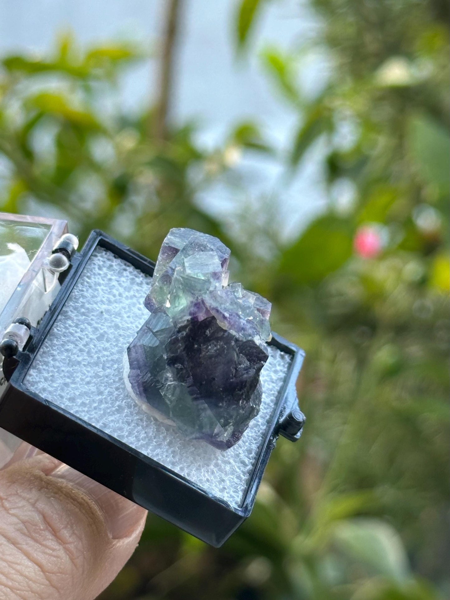 Fluorite from the Yindu Mine