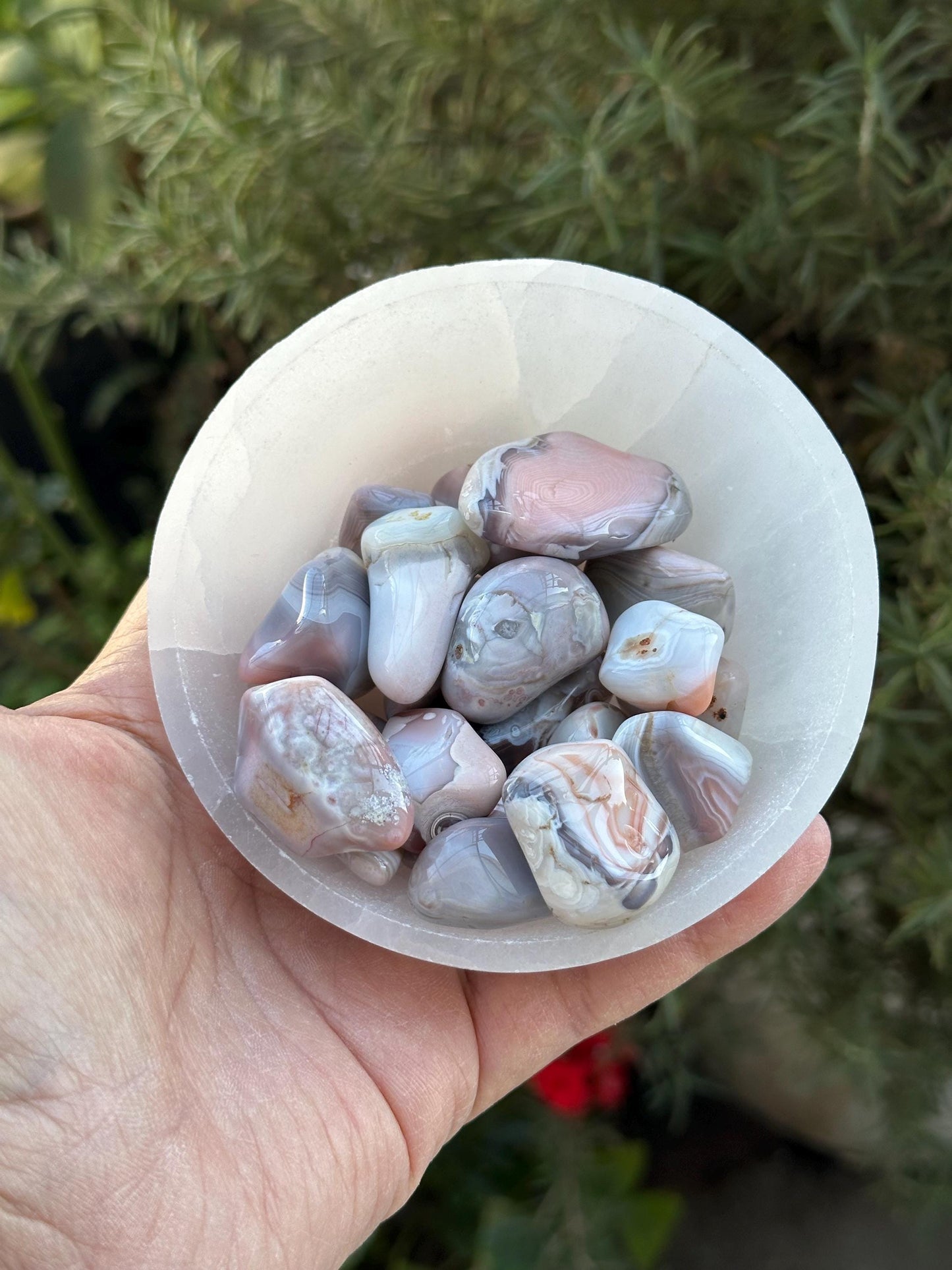 One (1) Botswana Agate Tumble