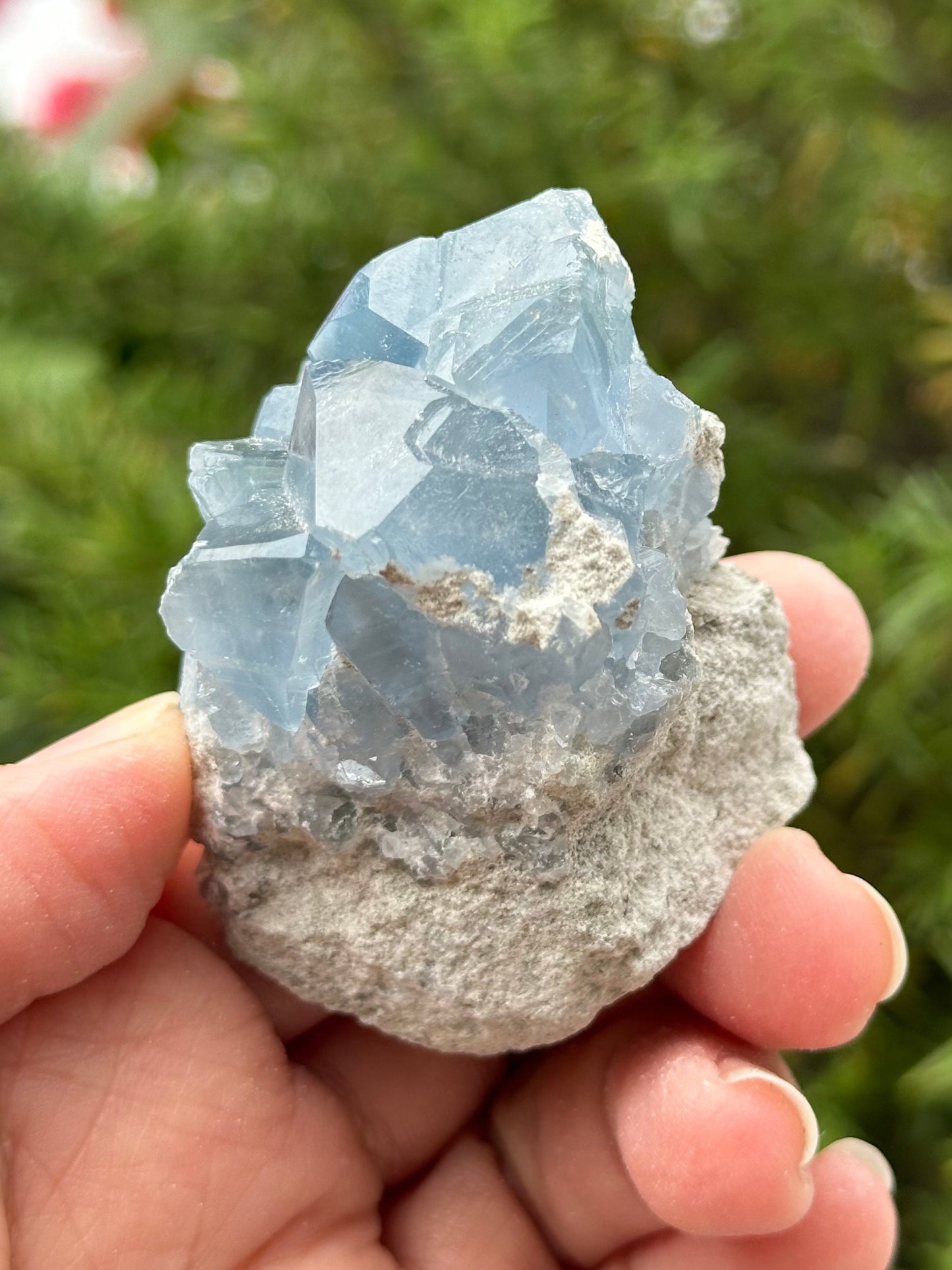 Celestite Cluster from Madagascar