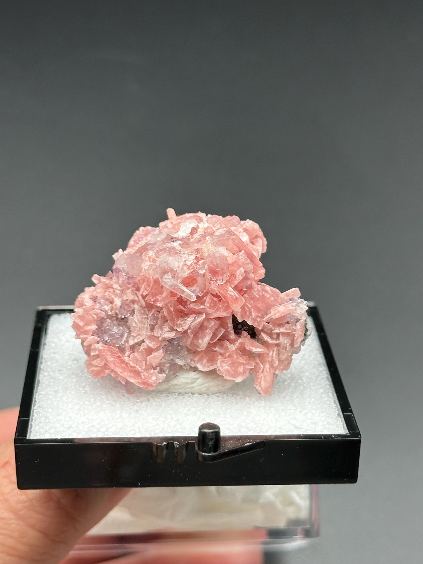 Rhodochrosite with Quartz Specimen