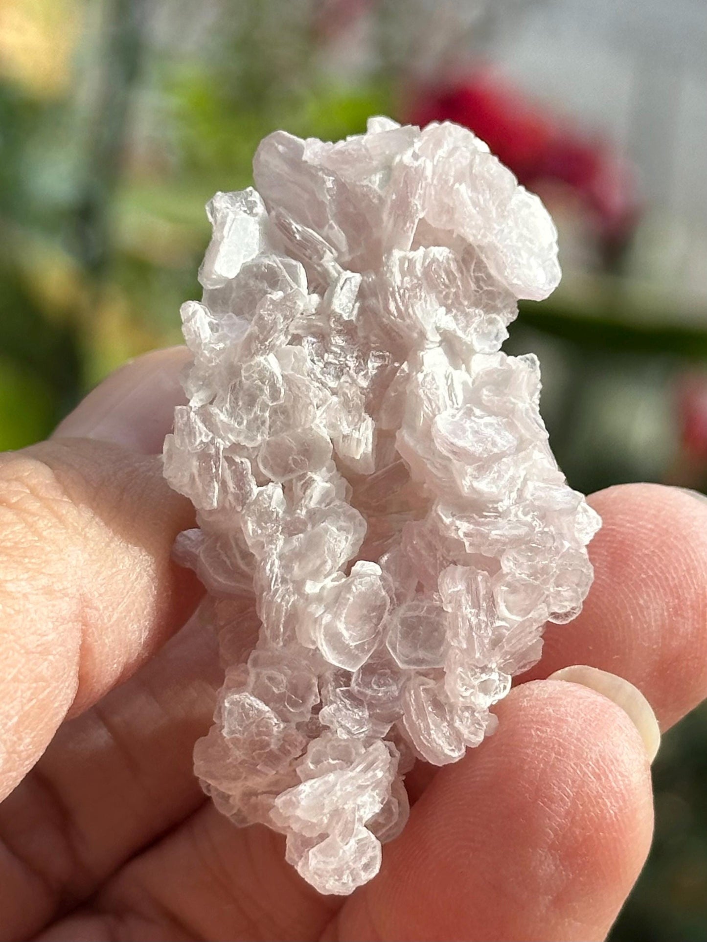 Pink Tourmaline with Lepidolite Flower