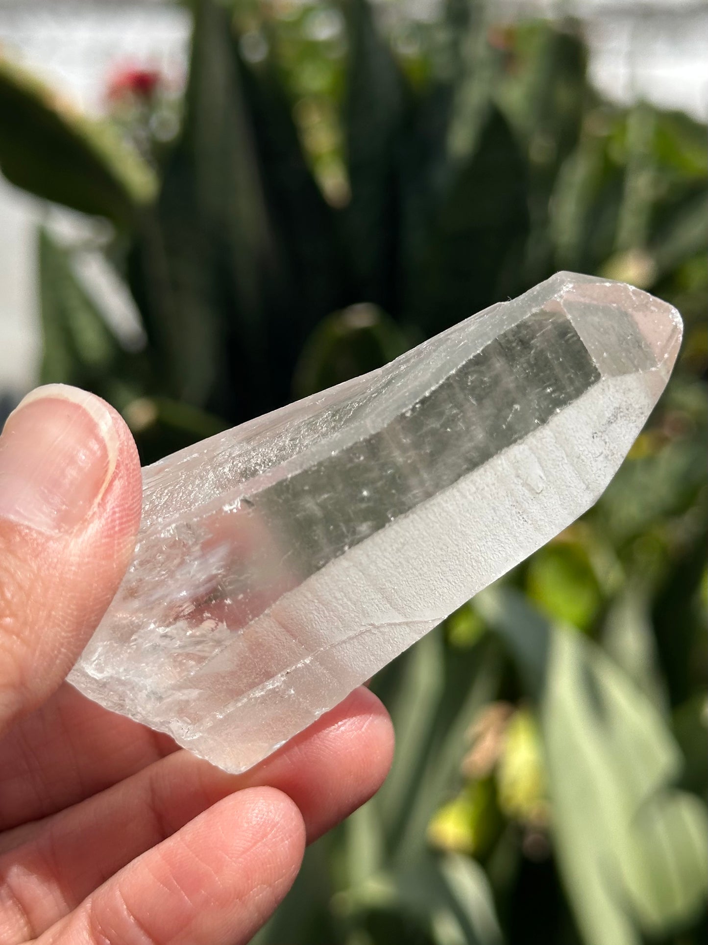 Lemurian Quartz