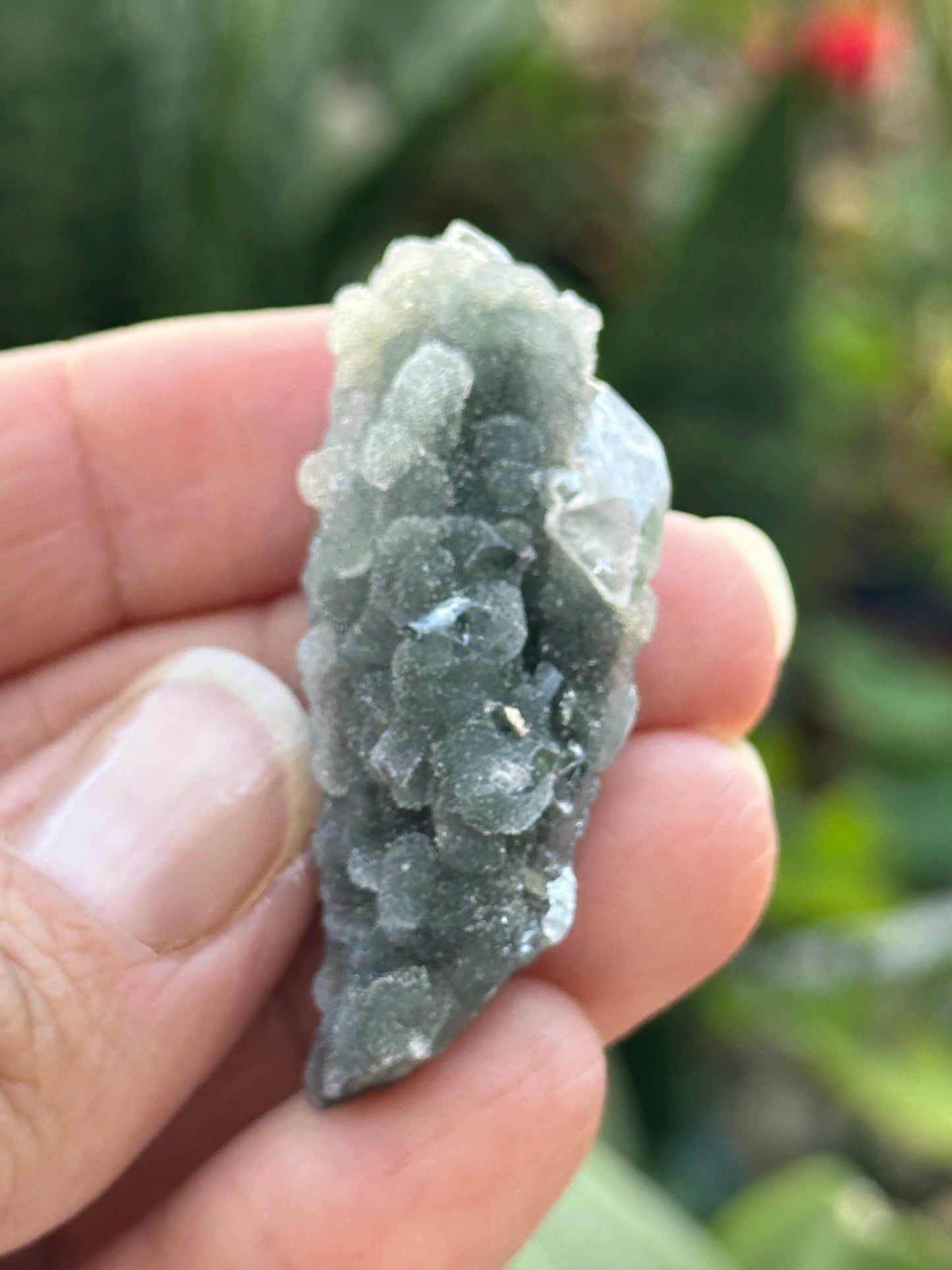 Black Chalcedony with Apophyllite