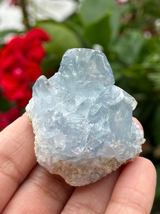 Celestite Cluster from Madagascar