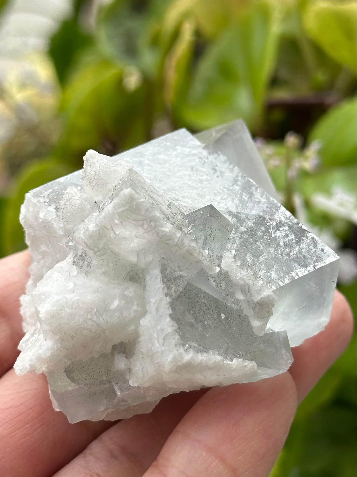 Fluorite with Quartz