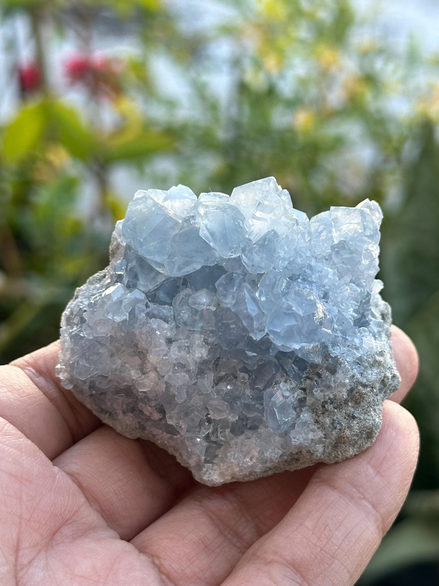 Celestite Cluster