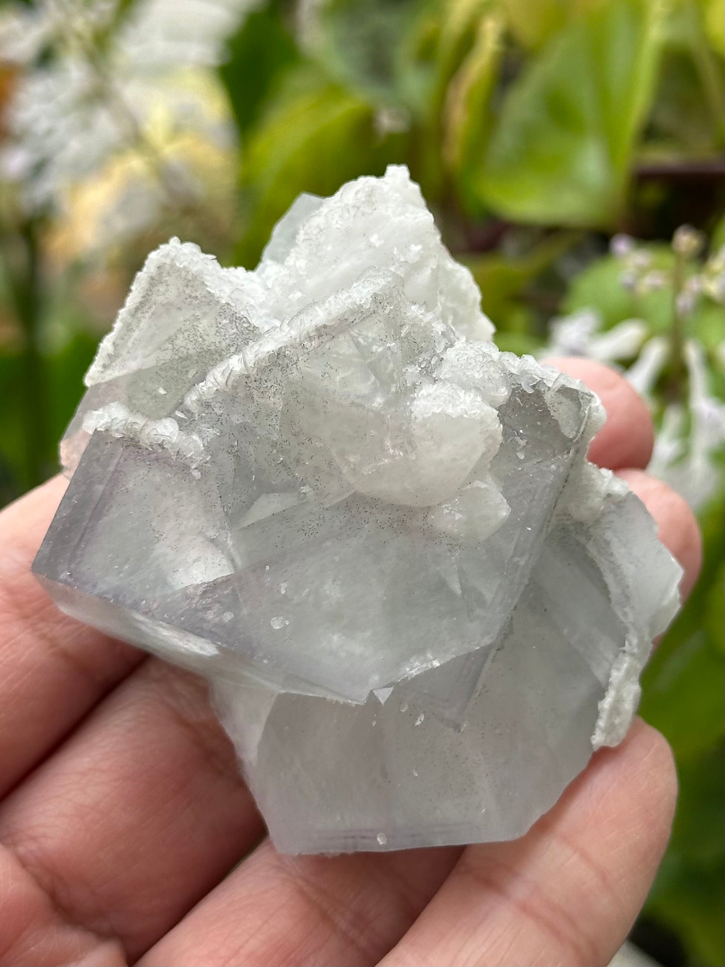 Fluorite with Quartz