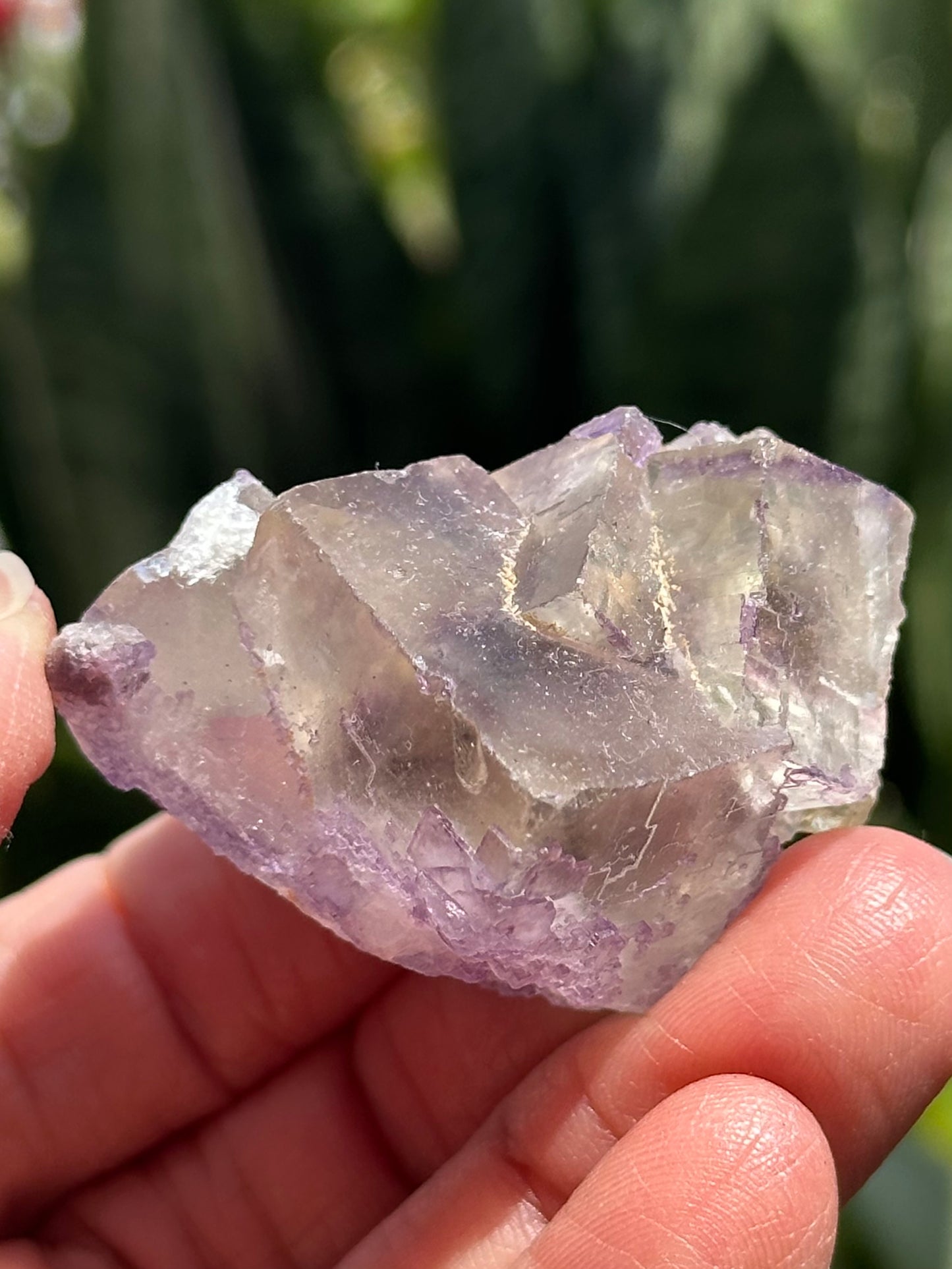 Galaxy Fluorite