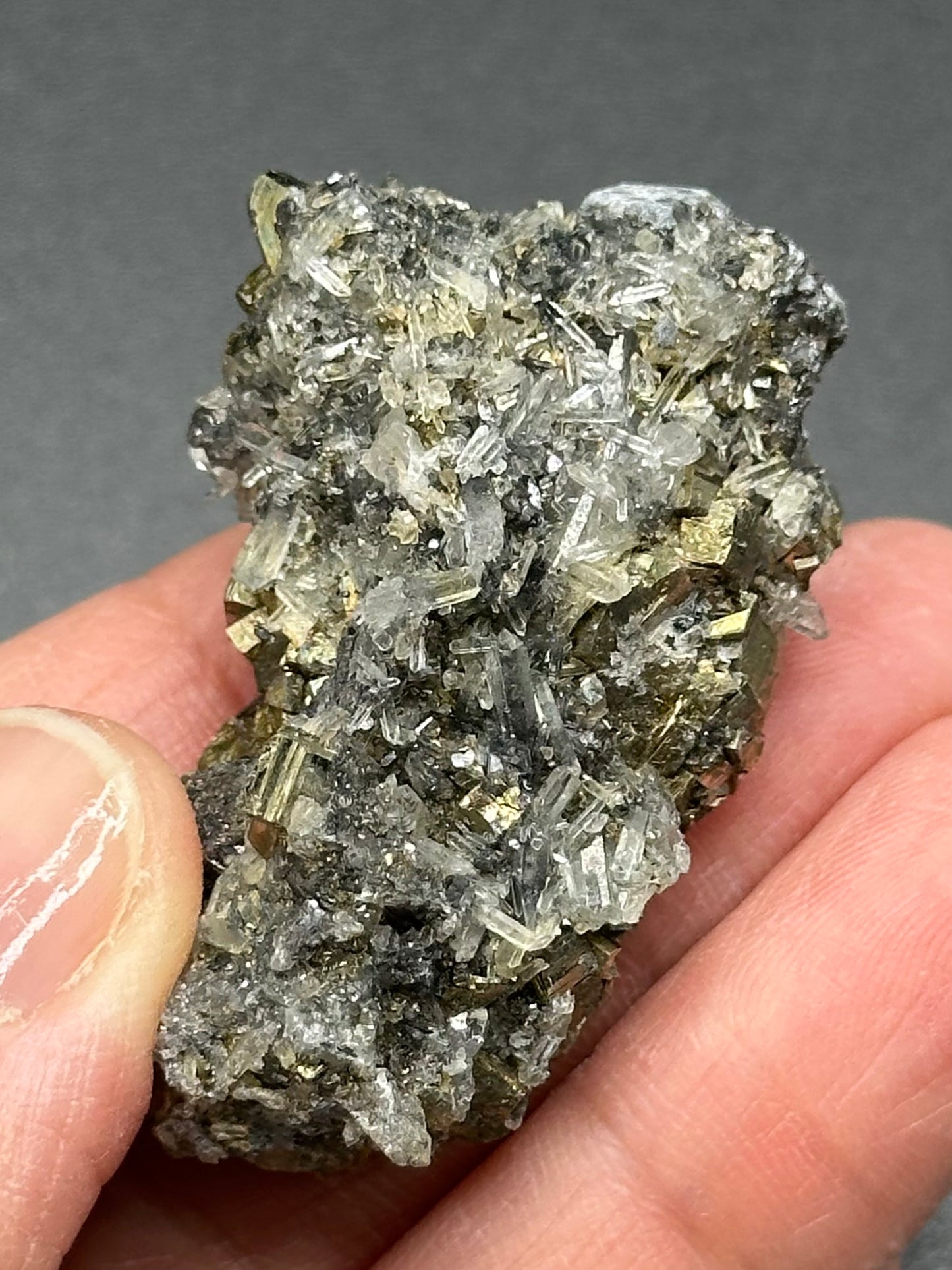 Pyrite and Quartz