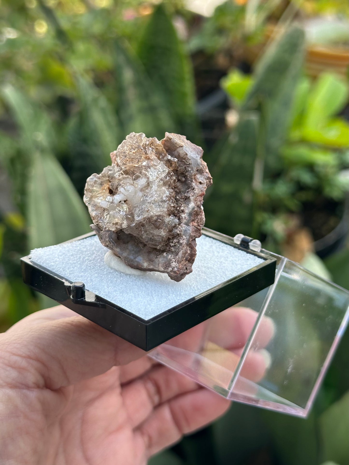 Hyalite Opal from Mexico