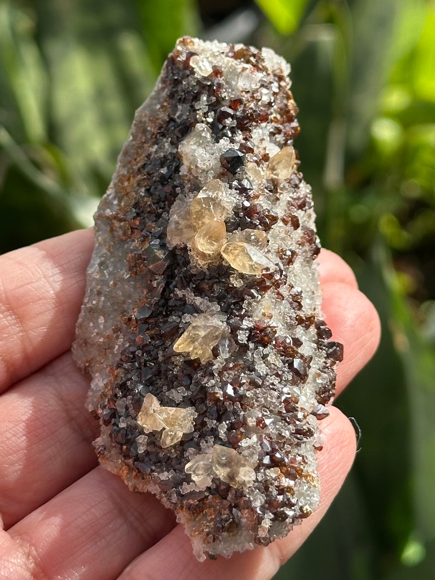 Calcite with Sphalerite and Dolomite from the Elmwood Mine