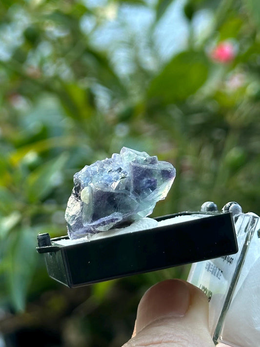 Fluorite from the Yindu Mine