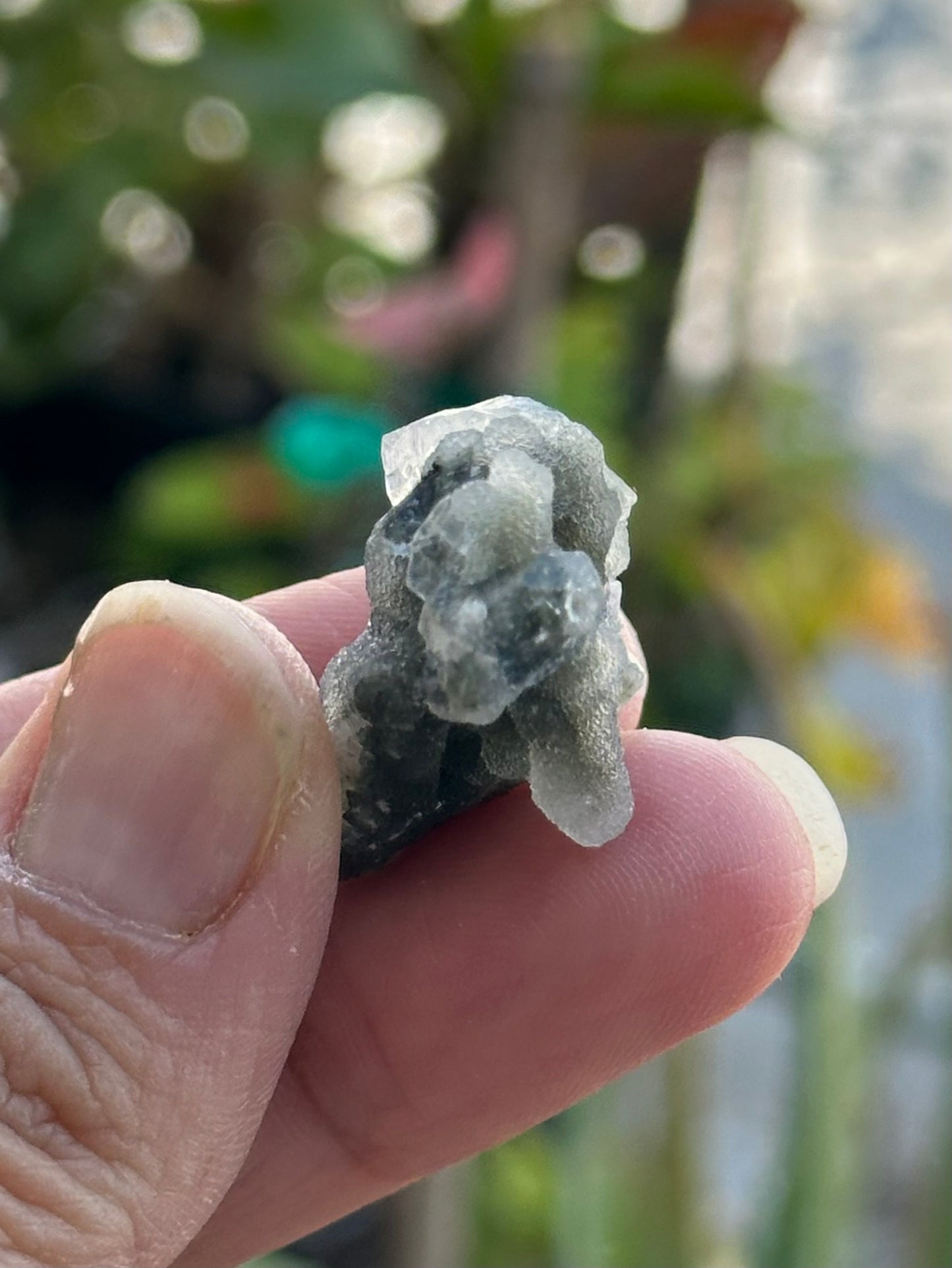 Black Chalcedony with Apophyllite