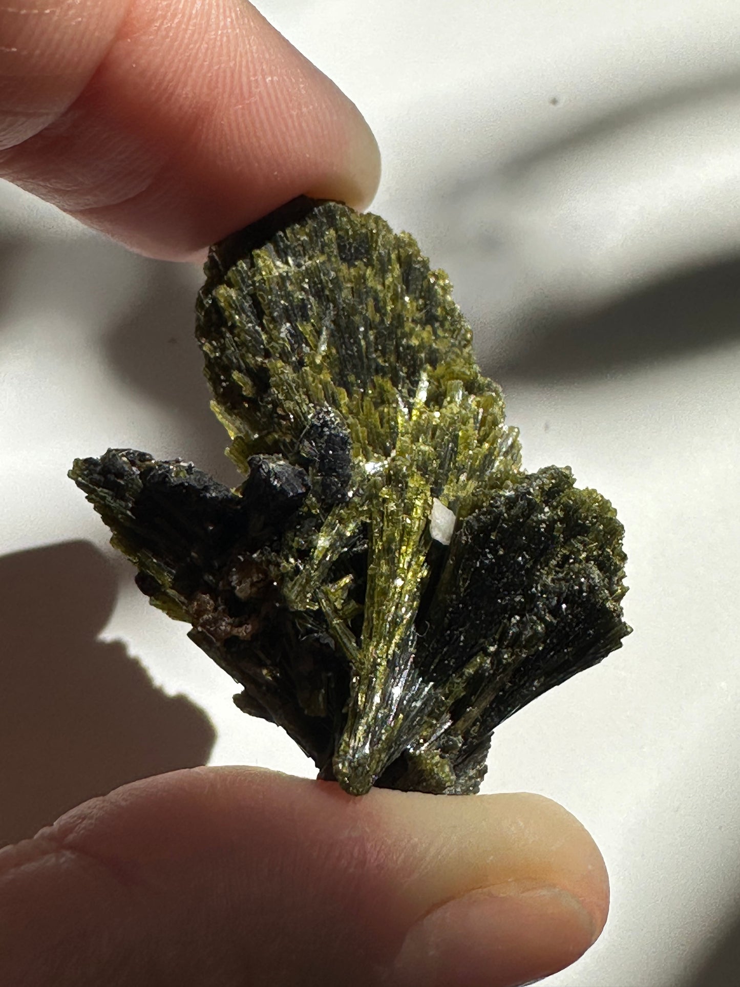 Epidote Fan