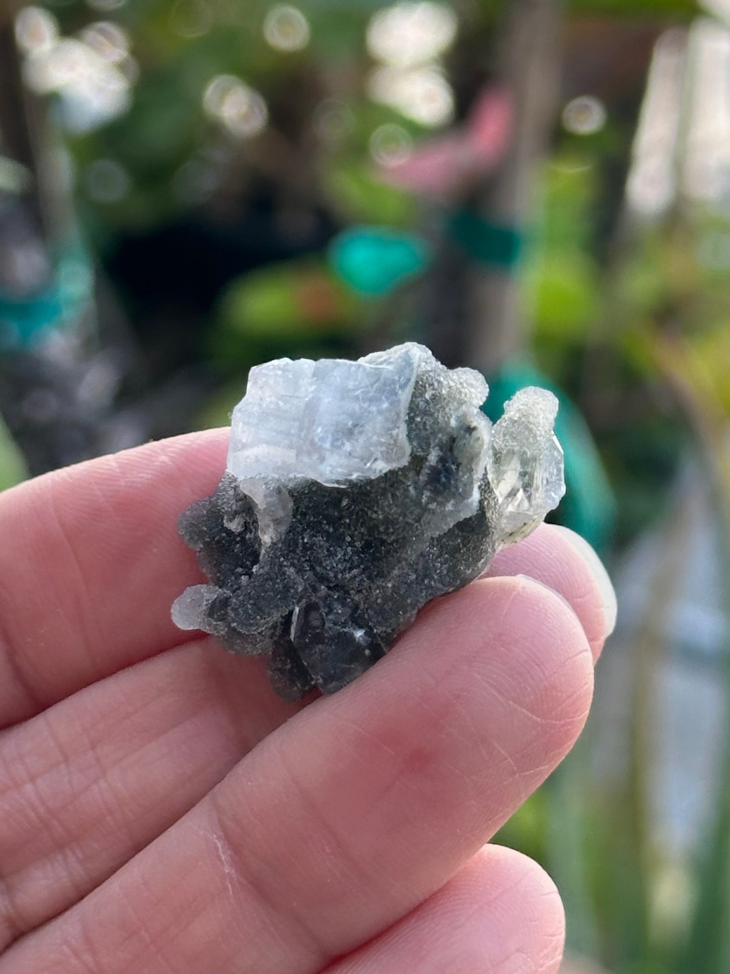 Black Chalcedony with Apophyllite