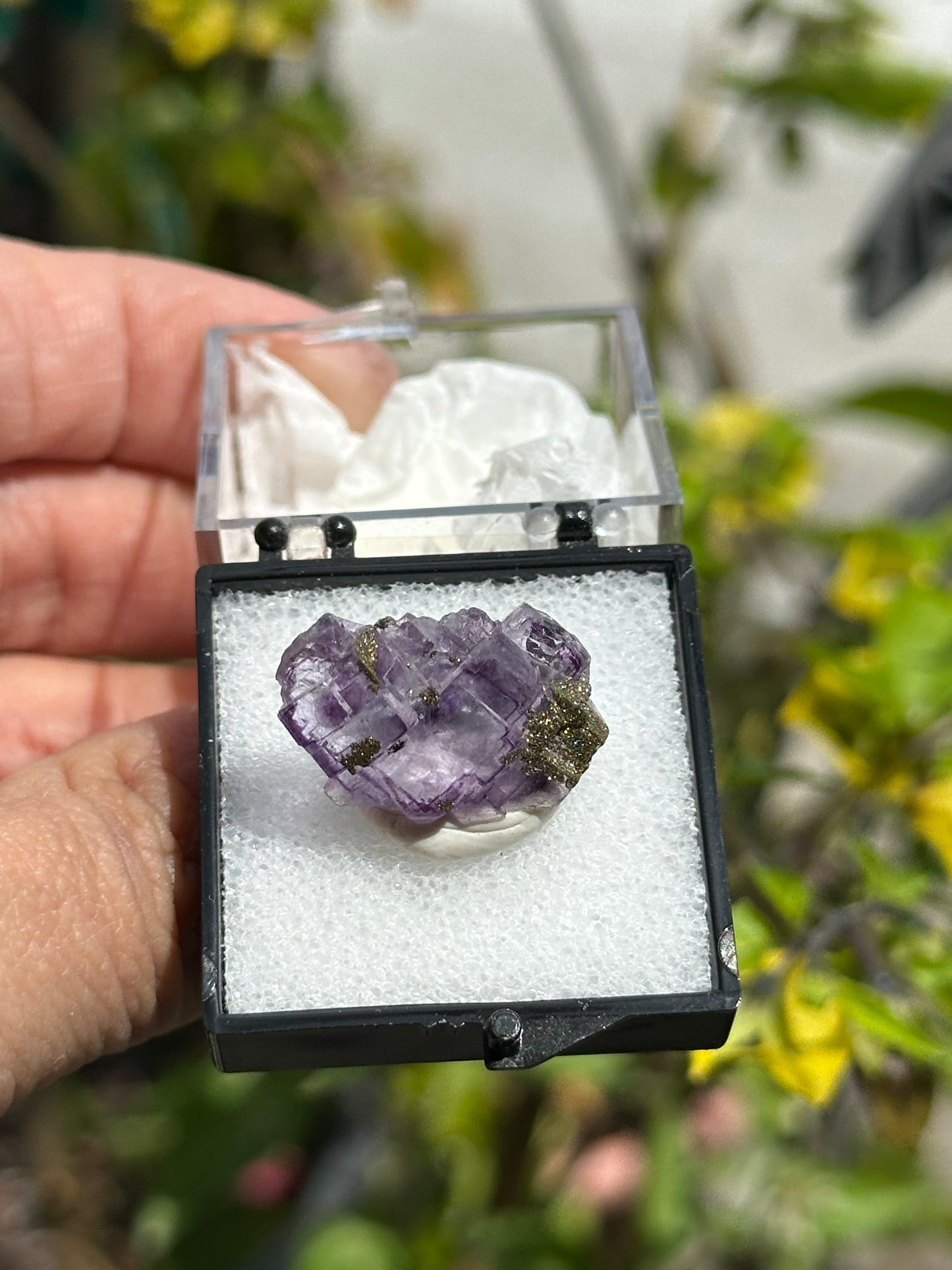 YGX Fluorite