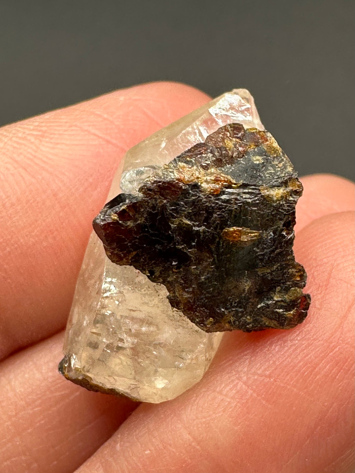 Calcite with Sphalerite from the Elmwood Mine