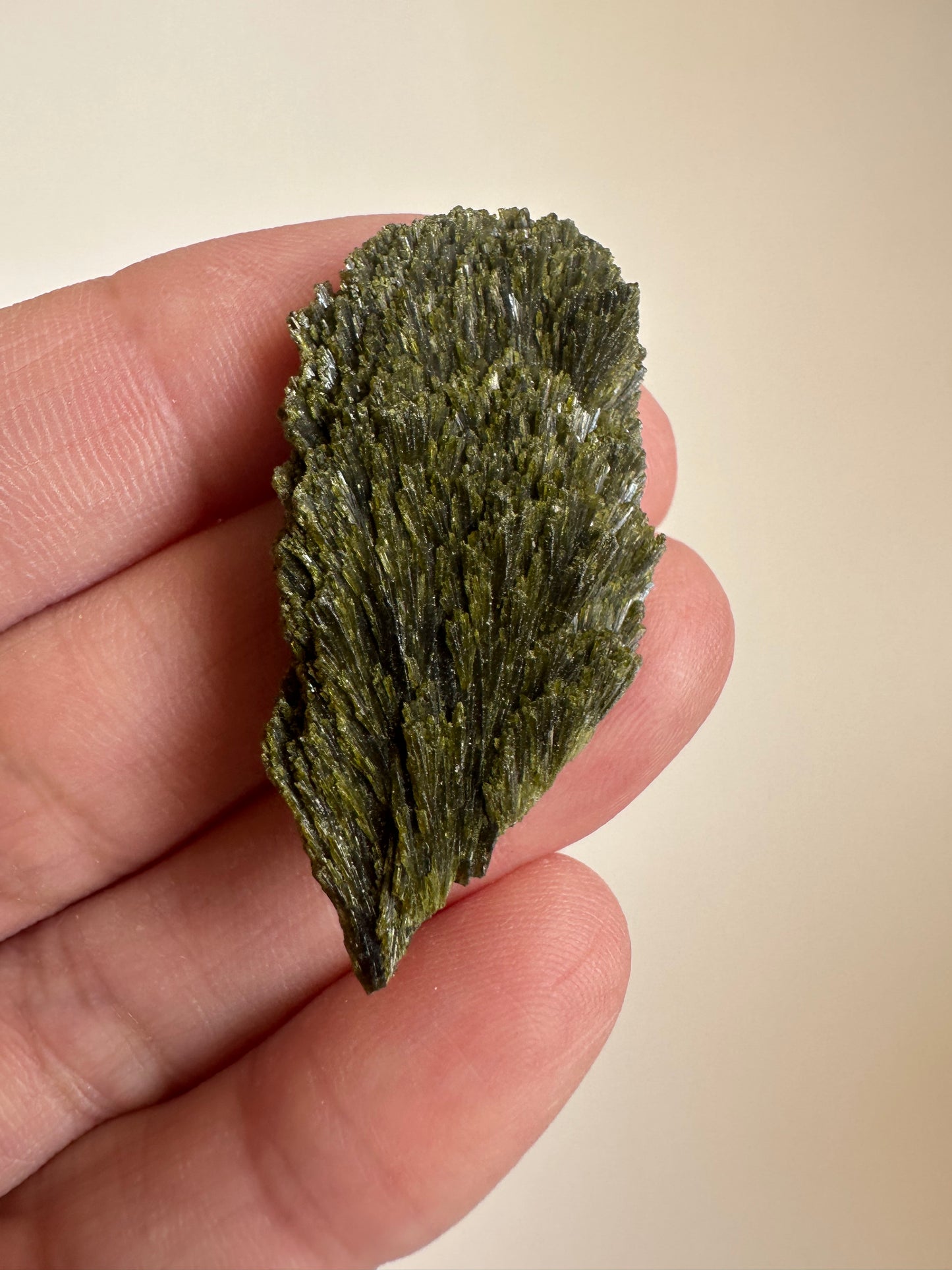 Epidote Fan