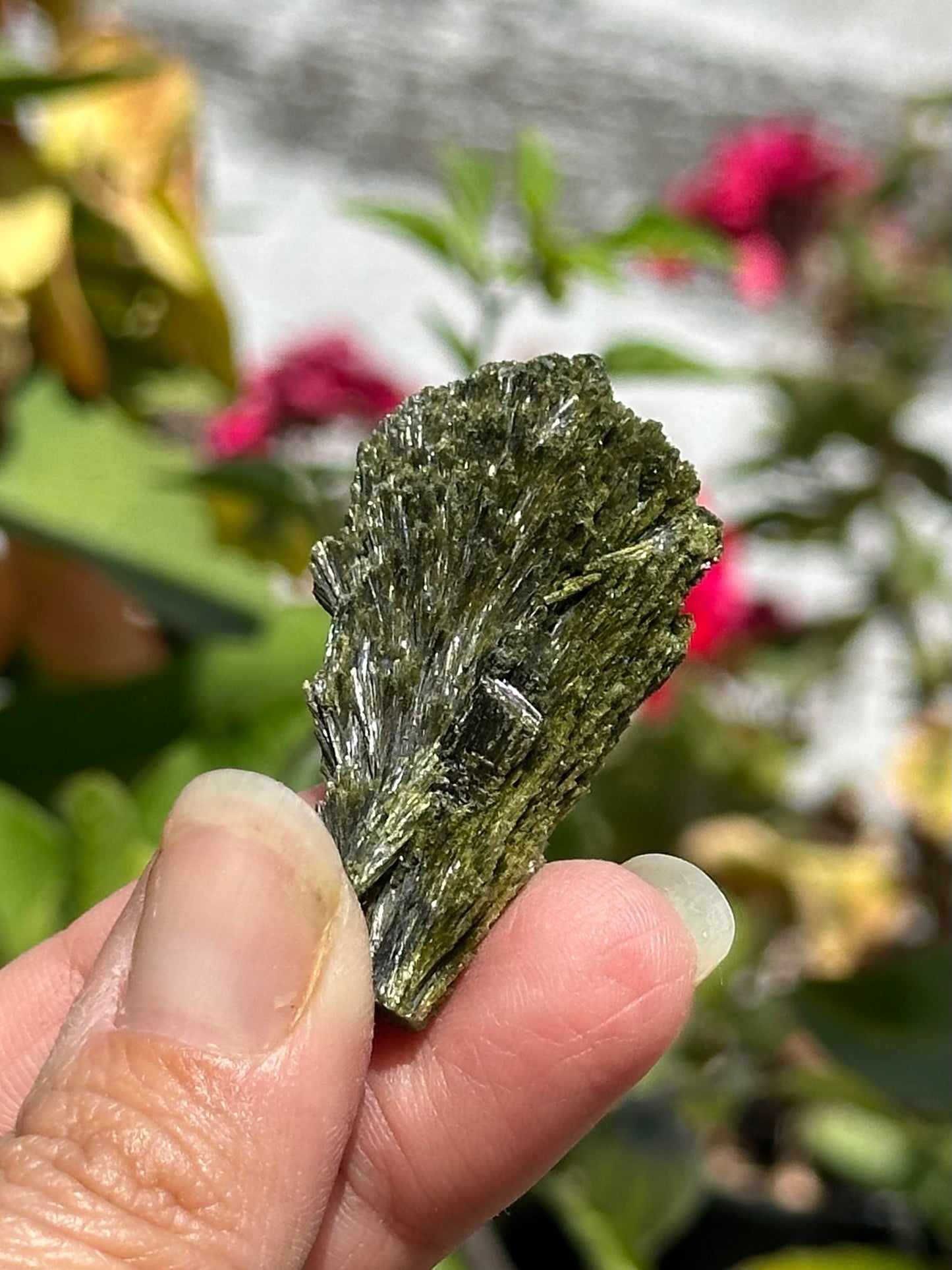 Epidote Fan