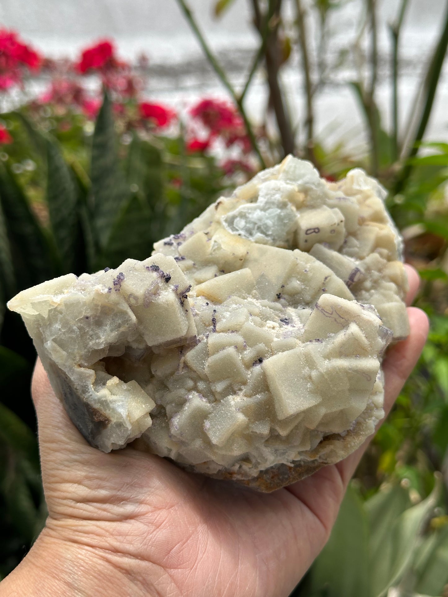 Fluorite Specimen from Quinlong Mine