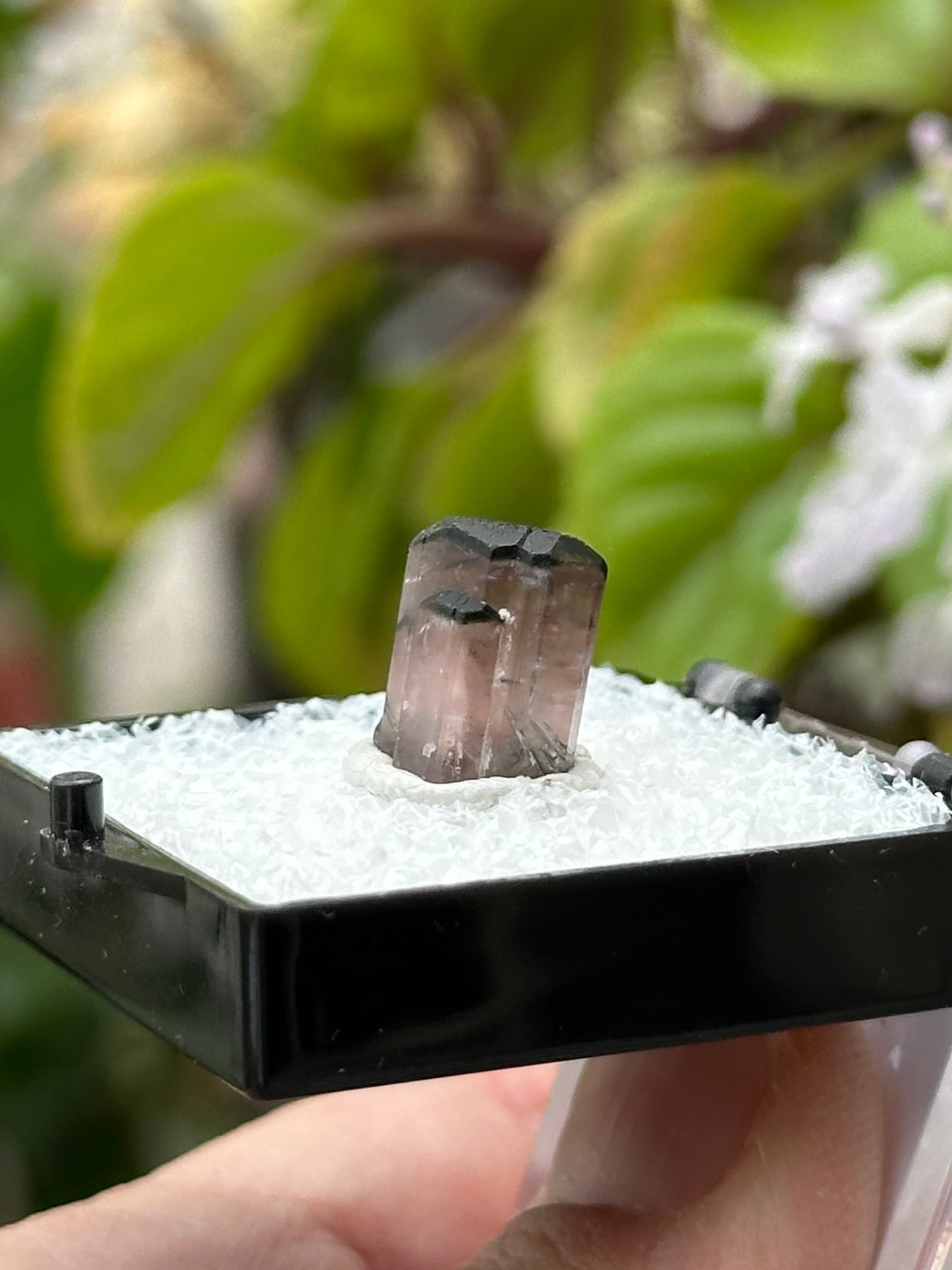 Tourmaline Specimen from Afghanistan