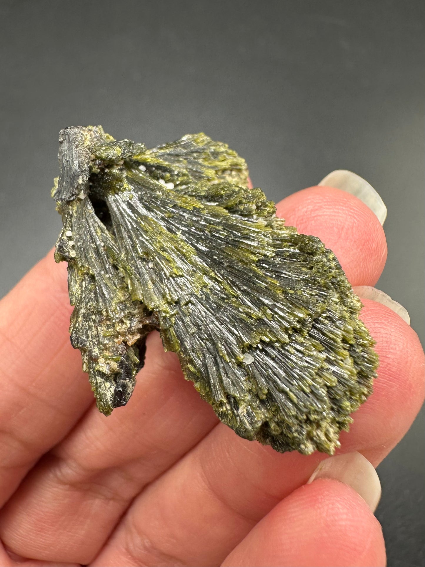 Epidote Fan