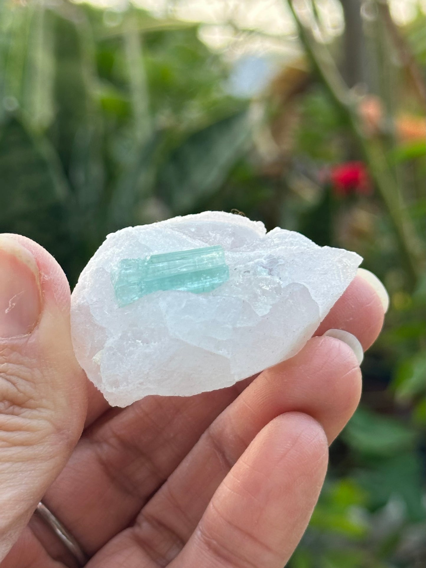 Tourmaline on Pollucite Specimen