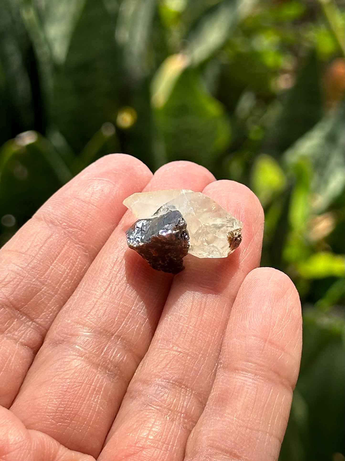 Calcite with Sphalerite from the Elmwood Mine