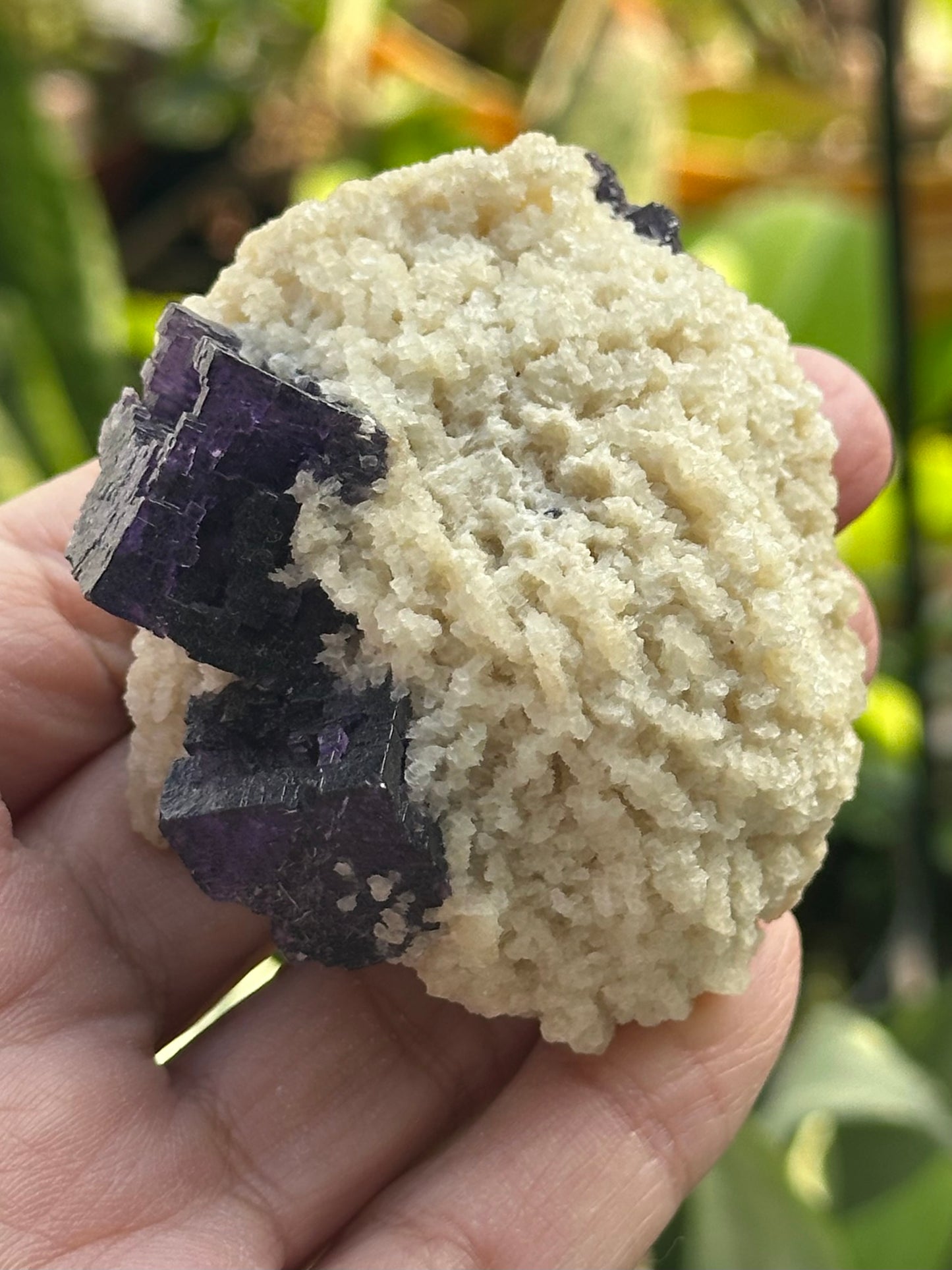 Fluorite and Dolomite from the Elmwood Mine