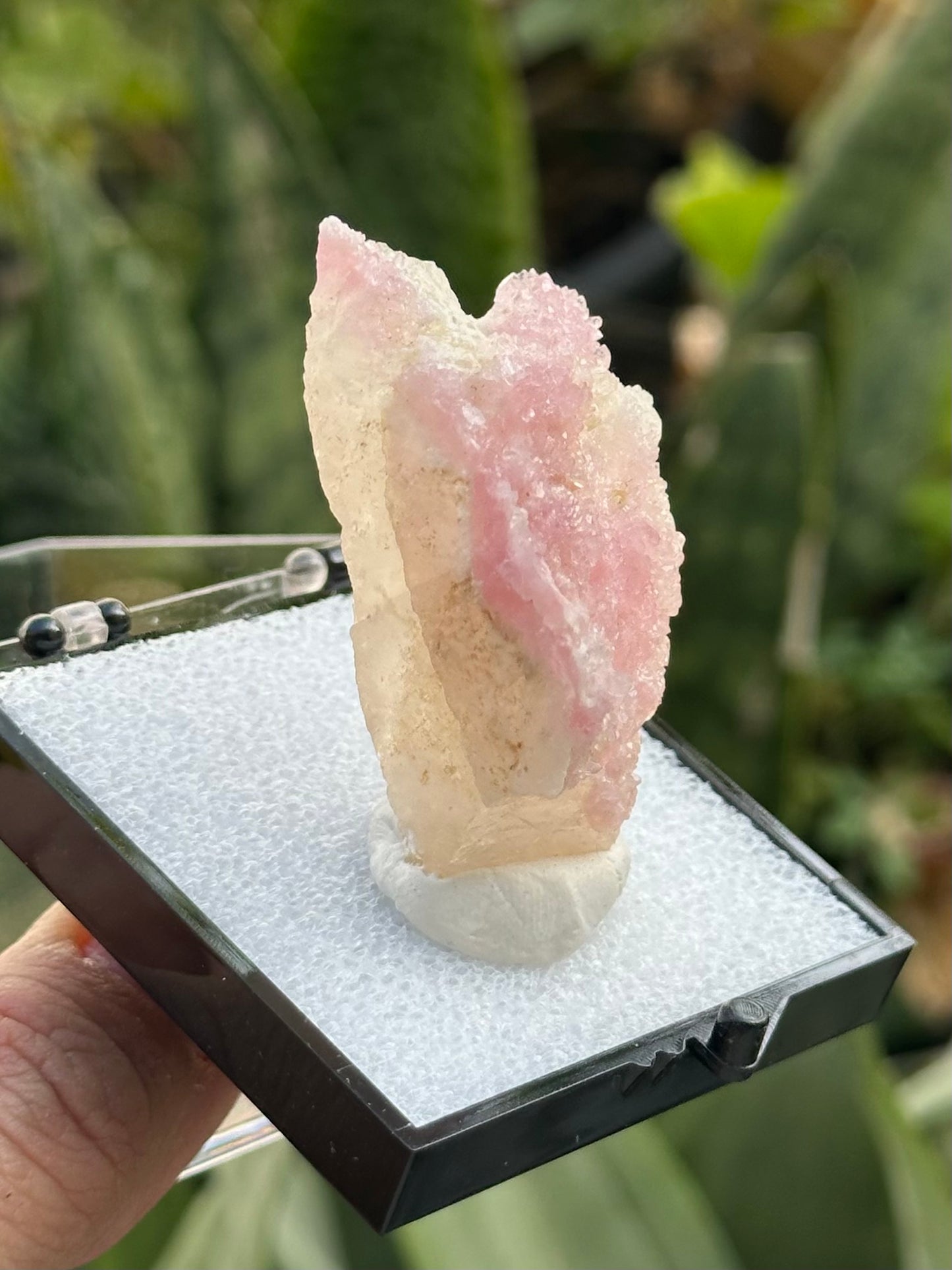 Crystallized Rose Quartz on Quartz