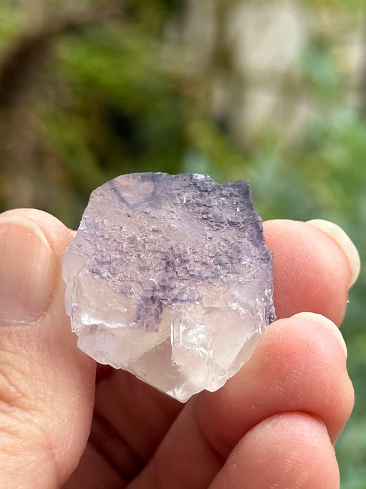 Fluorite from the Elmwood Mine