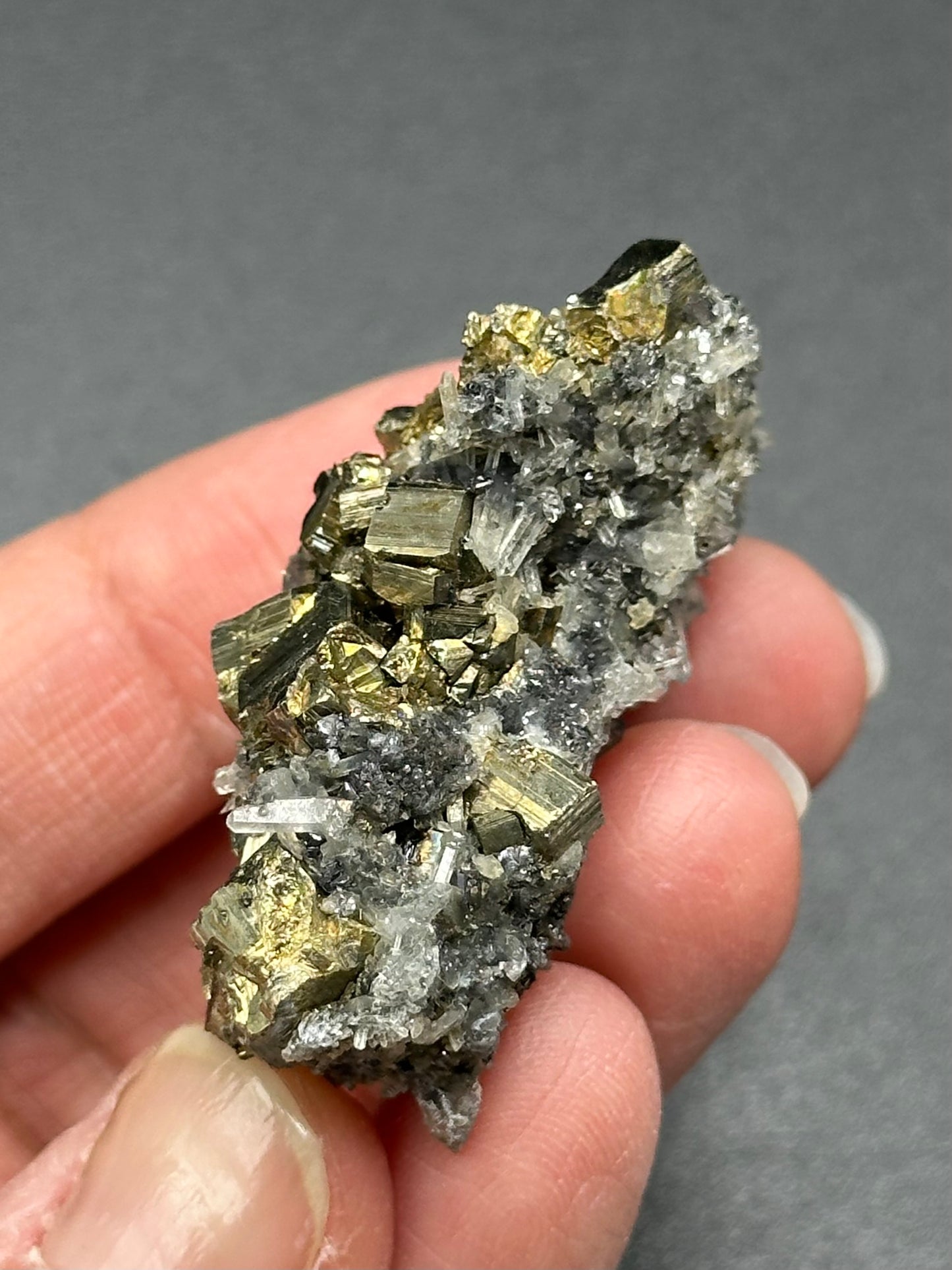 Pyrite and Quartz