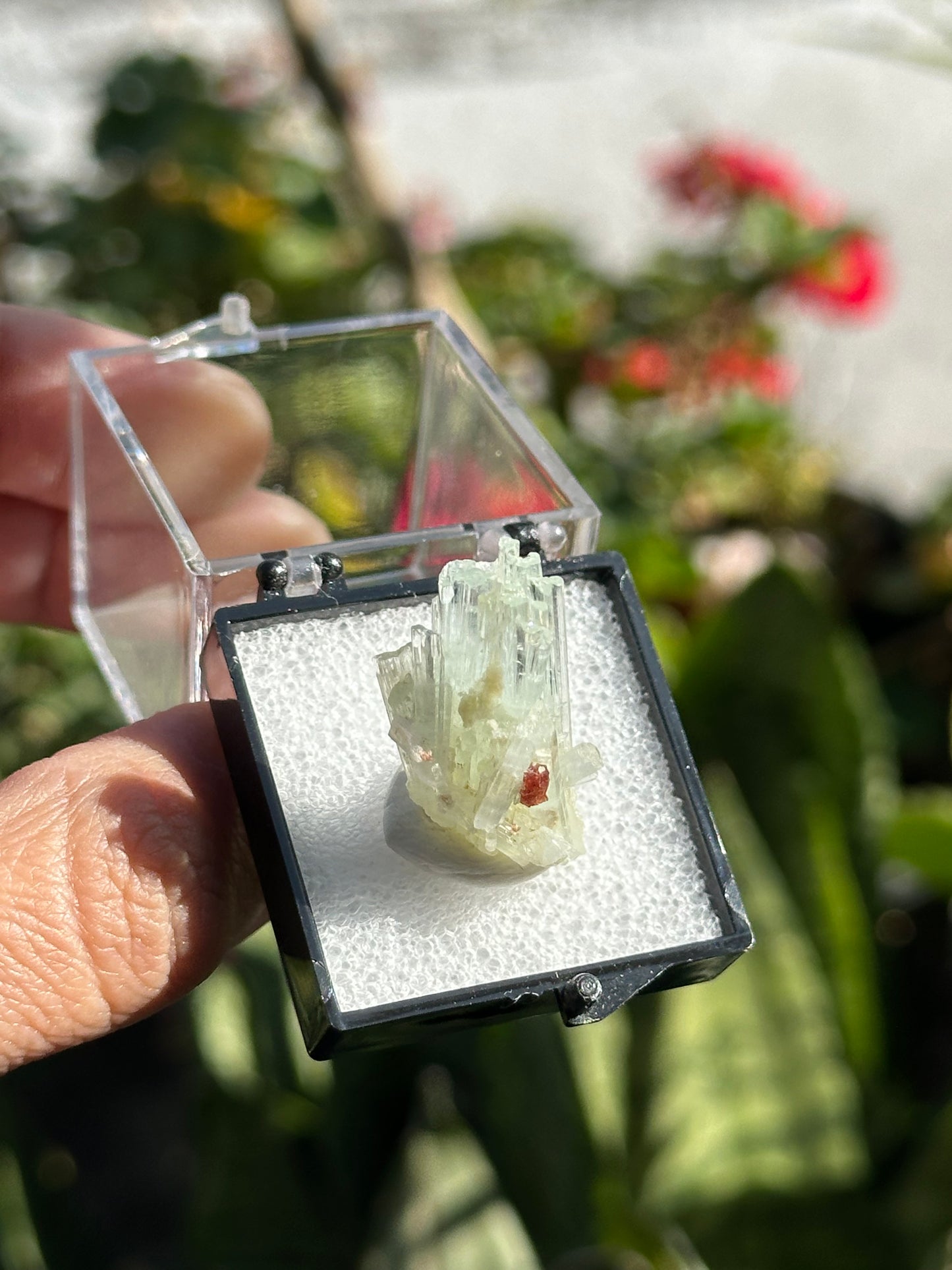 Aquamarine with Garnet