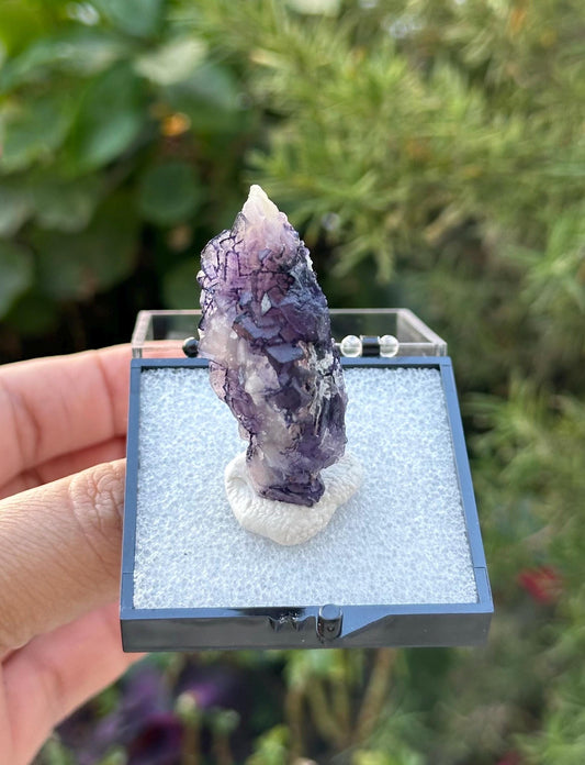 QR Code Fluorite in a perky box from Quinlong Mine, Guizhou, China