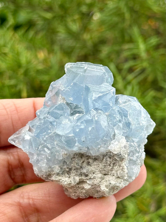 Celestite Cluster
