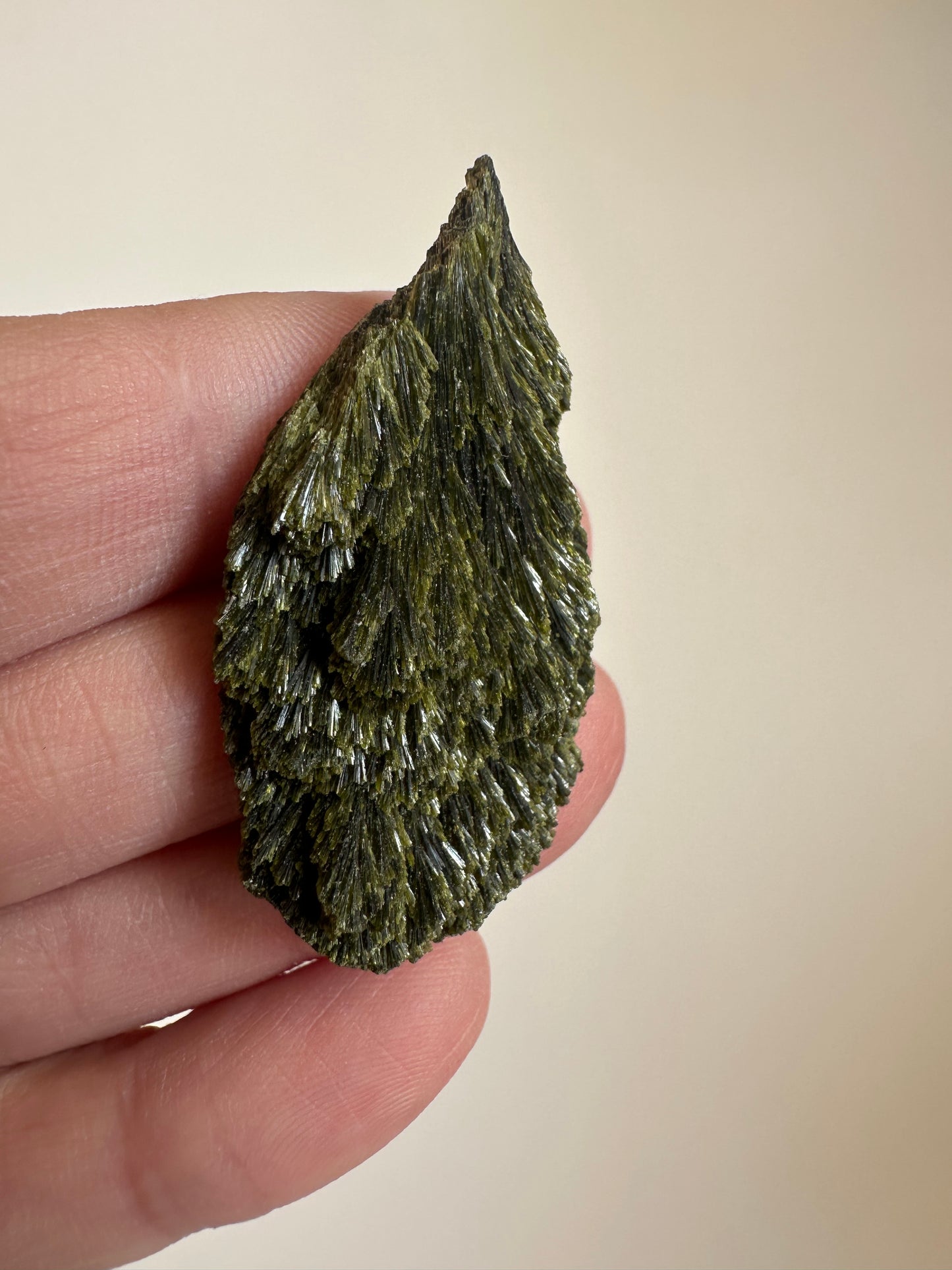 Epidote Fan